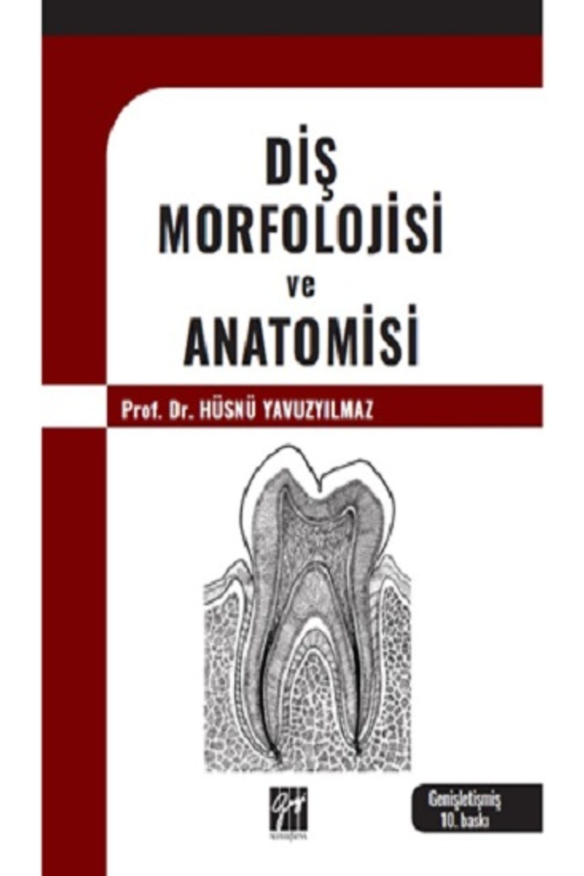 Gazi Kitabevi Diş Morfolojisi Ve Anatomisi kitabı - Hüsnü Yavuzyılmaz - Gazi Kitabevi