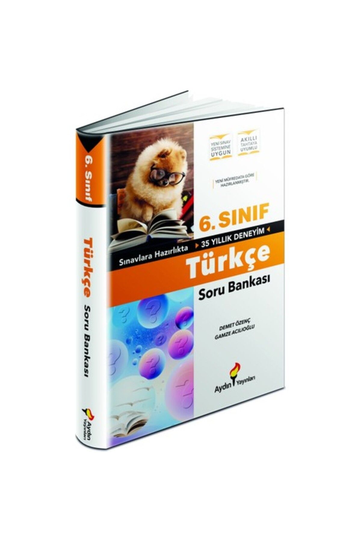 Aydın Yayınları Aydın Yayınları 6. Sınıf Türkçe Soru Bankası
