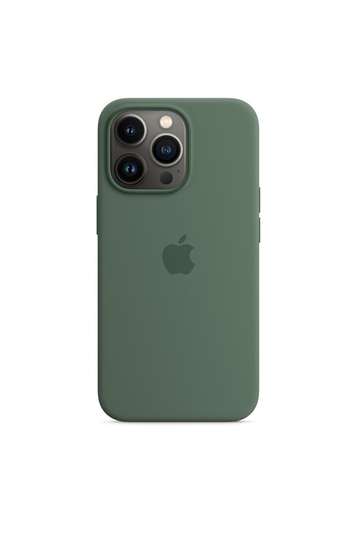 Stendhal iPhone 11 Pro ile uyumlu Kılıf A+ Deluxe Class (Limited Stock) - Okaliptus