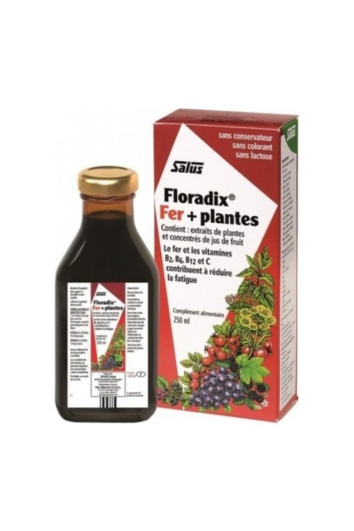 Floradix Hiperfarma Demir Ve Vitaminler Içeren Sivi Takviye Edici Gida 250 ml
