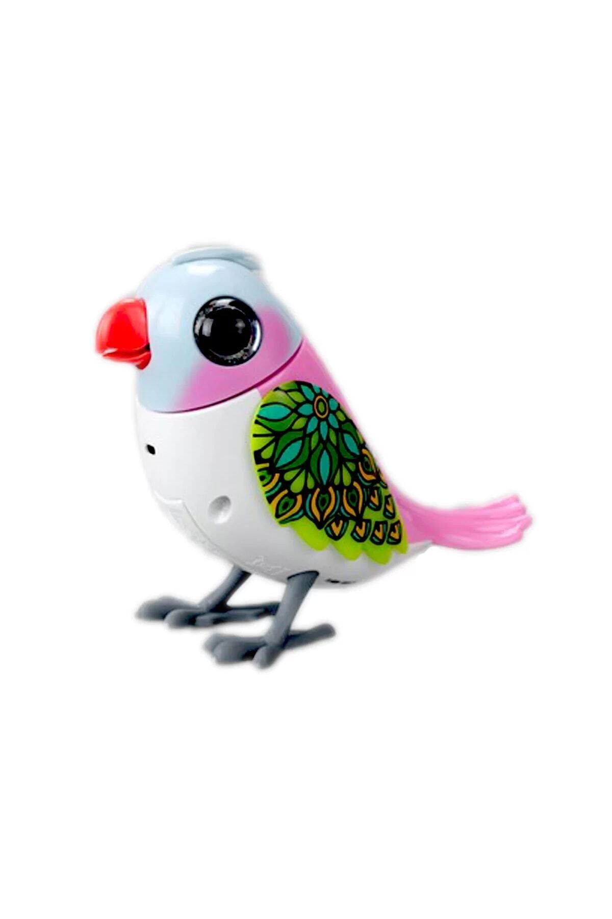 BabylishBaby Çocuk Renkli Eğlenceli Cıvıldayan Ve Şarkı Söyleyen Sevimli Kuş