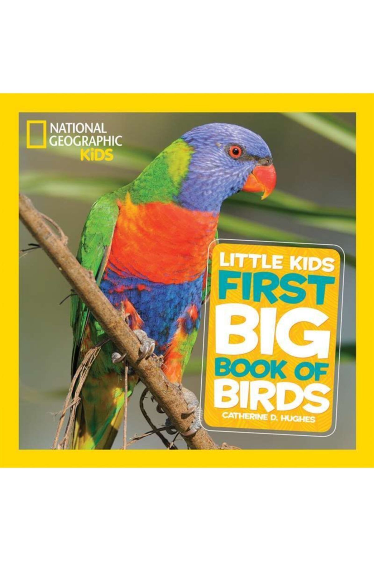 Kitapbulan İthal Kitap National Geographic Little Kids First Big Book Of Birds