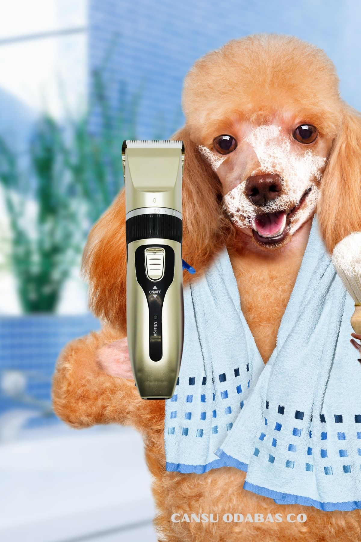 CANSU ODABAS CO Şarj edilebilir köpek kılı kesme makinesi, sessiz evcil hayvan saç kesme makinesi