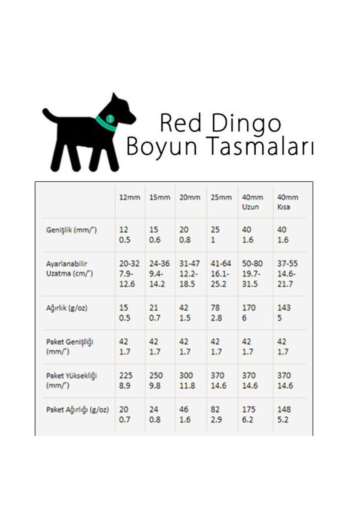 RedDingo Red Dingo Reflektörlü Ziggy Desenli Köpek Boyun Tasması Lime 25 Mm - DC-RZ-LG-25
