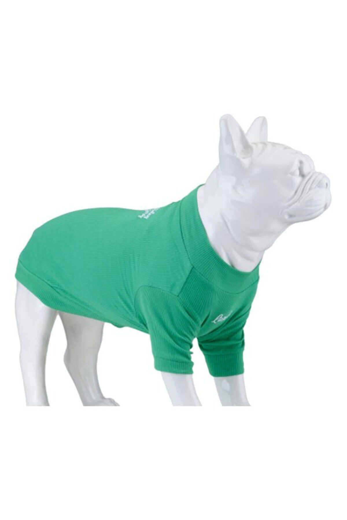 Lindodogs Lindo Dogs Make Today Amazing Köpek Kıyafeti Tshirt Yeşil Beden 3 - MTA03