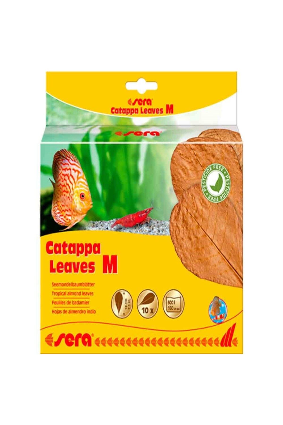 Sera Catappa Yaprağı M 18 Cm 10 Adet
