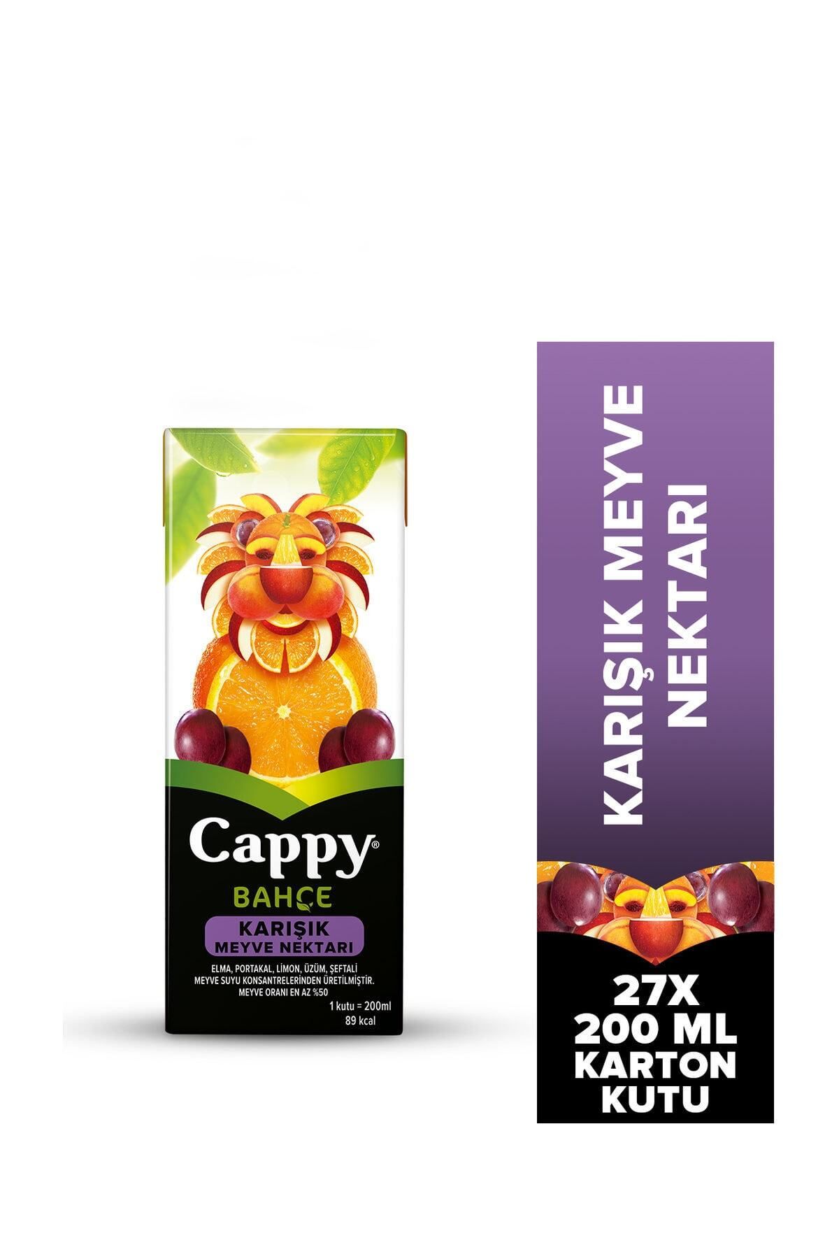 Cappy Bahçe Karışık Meyve Nektarı 200 ml - 27'li Paket