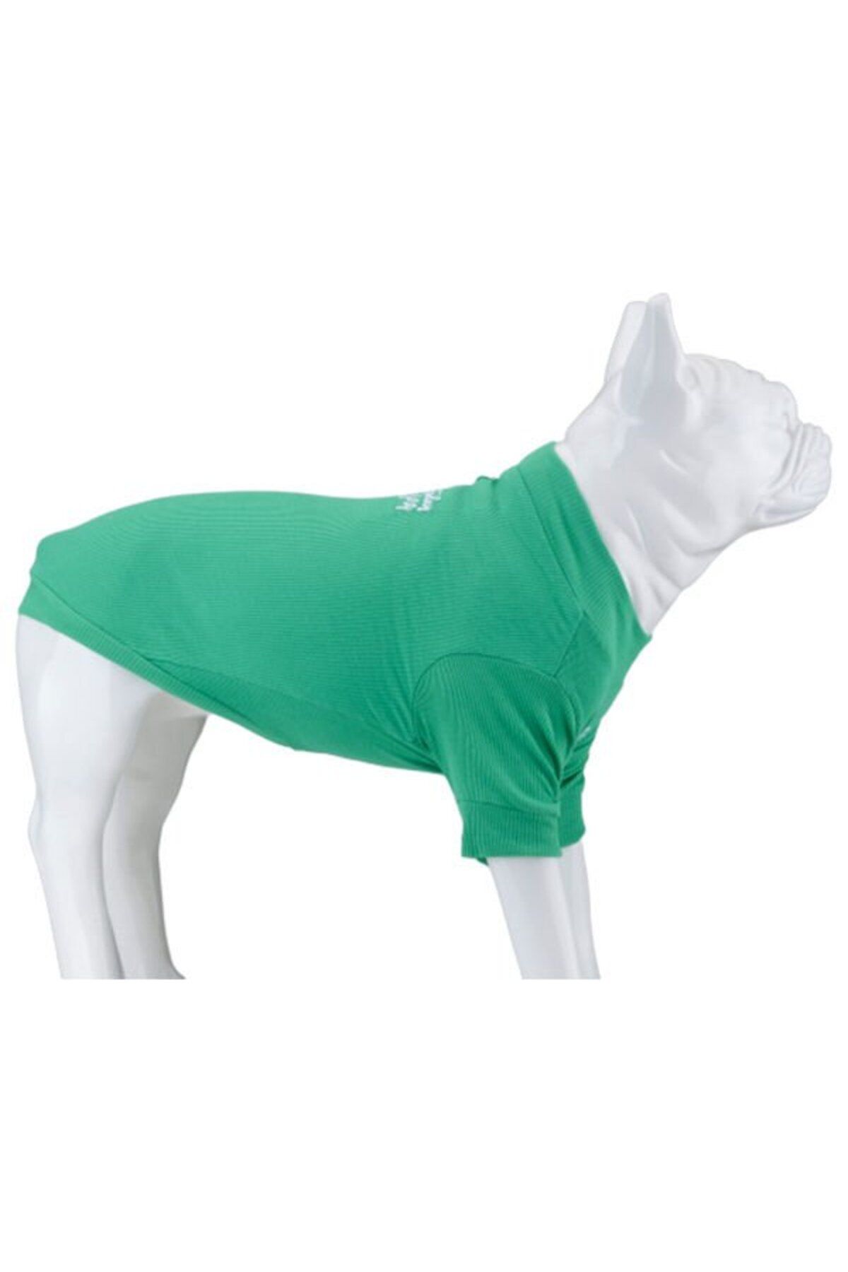 Lindodogs Lindo Dogs Make Today Amazing Köpek Kıyafeti Tshirt Yeşil Beden 6