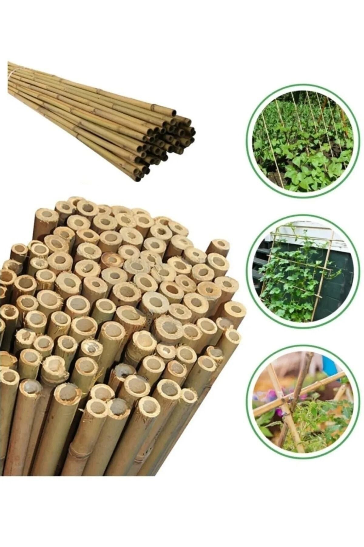 DOĞA FİDANCILIK 30 Adet Bambu Bitki Fidan Destek Çubuğu 1 Metre