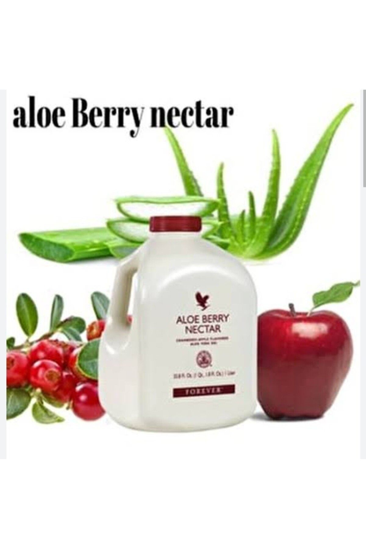 Forever Living Forever Aloe Berry Nectar -34
