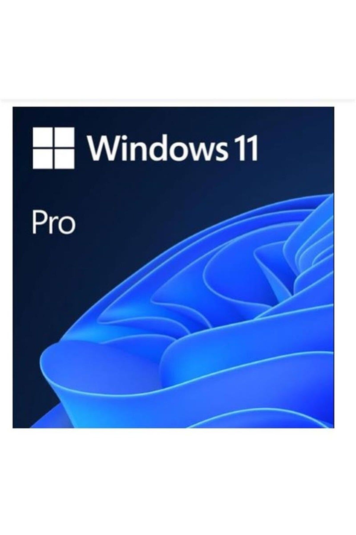 Microsoft Ms Wındows 11 Pro 32/64 Bıt Tr Kutu Usb Hav-00159