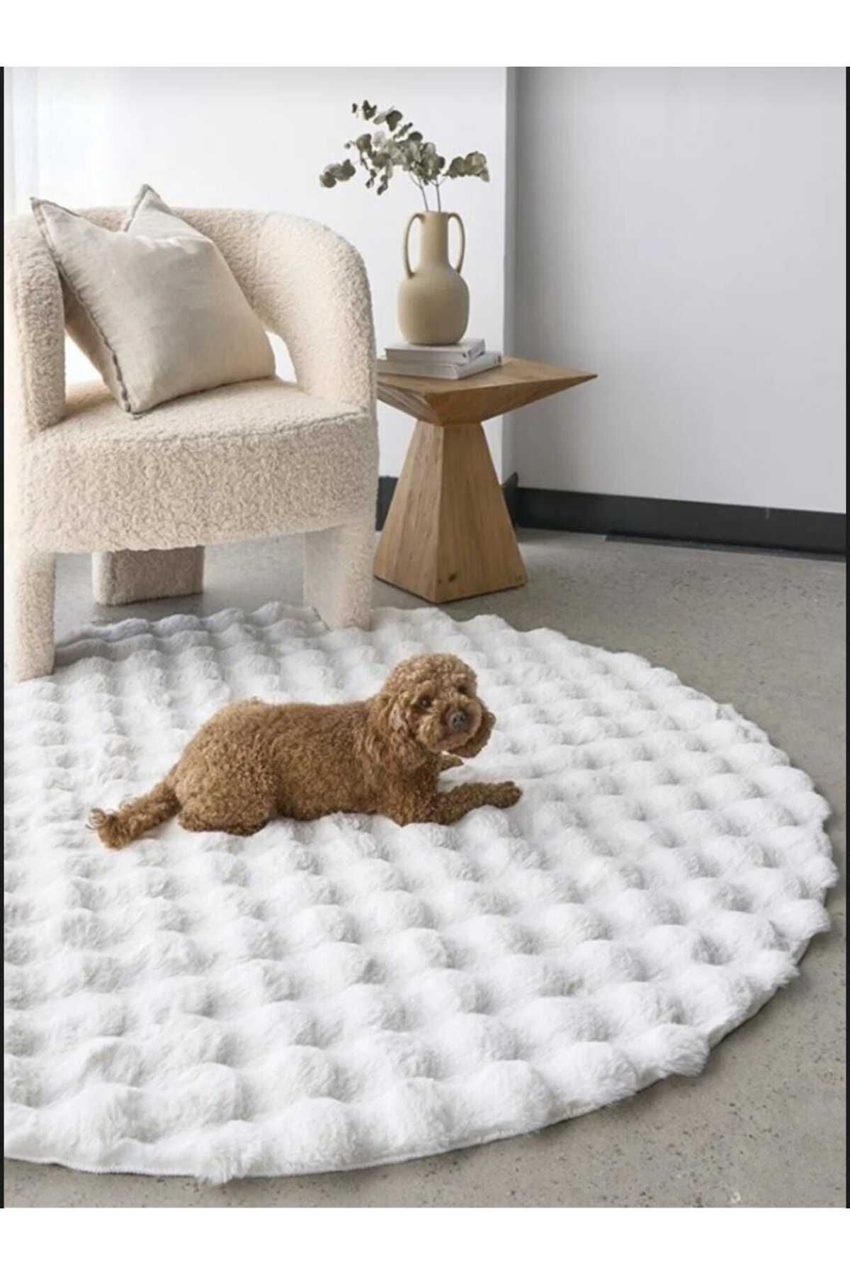 Anatolian Carpet Store Bubble Yuvarlak Beyaz Tavşan Tüyü Kaymaz Taban  Peluş Halı