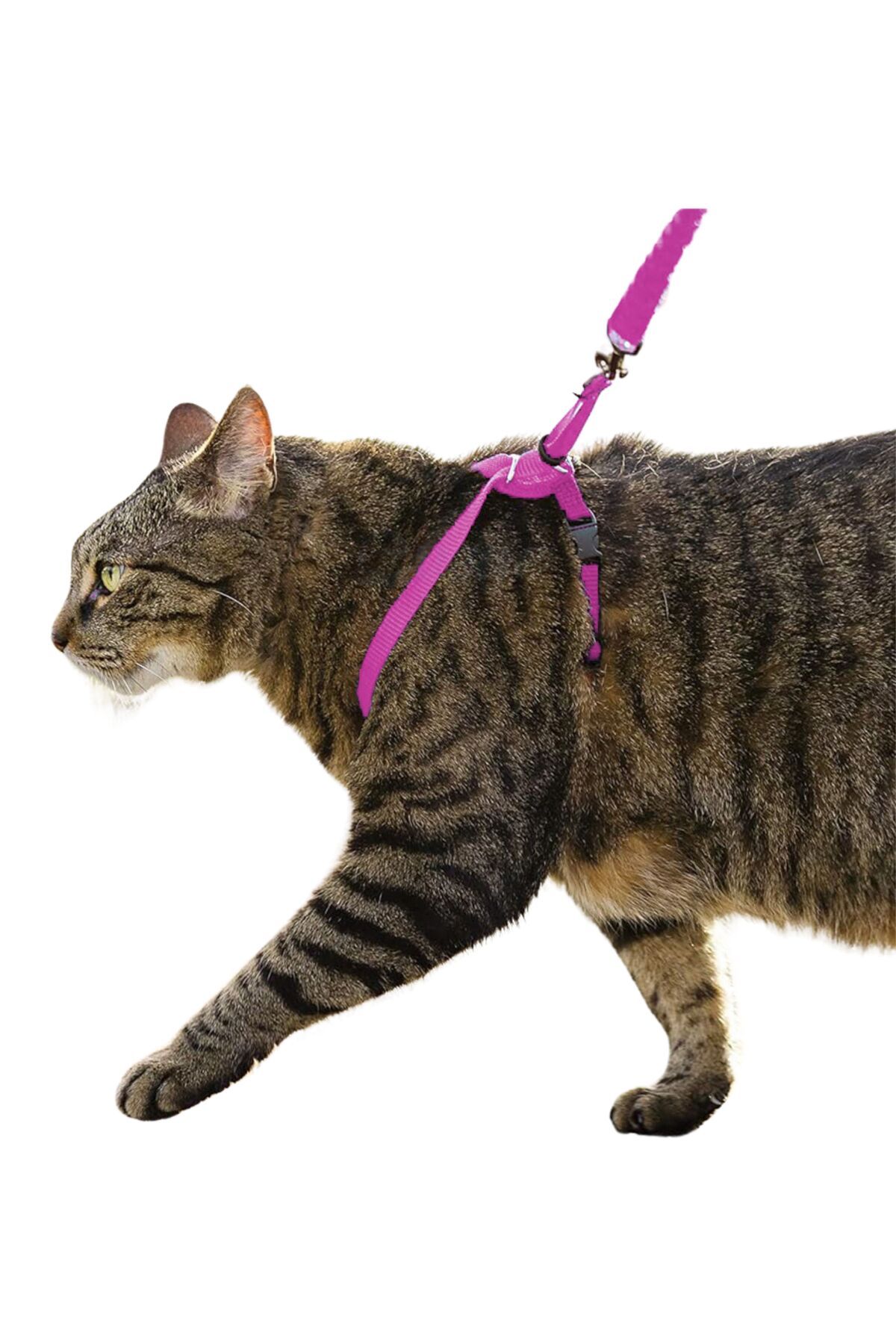 Evene Kedi Tasması Kedi Göğüs Bel Ayarlanabilir Dayanıklı Sağlam Tasma 1 cm İnce Kolon Pembe