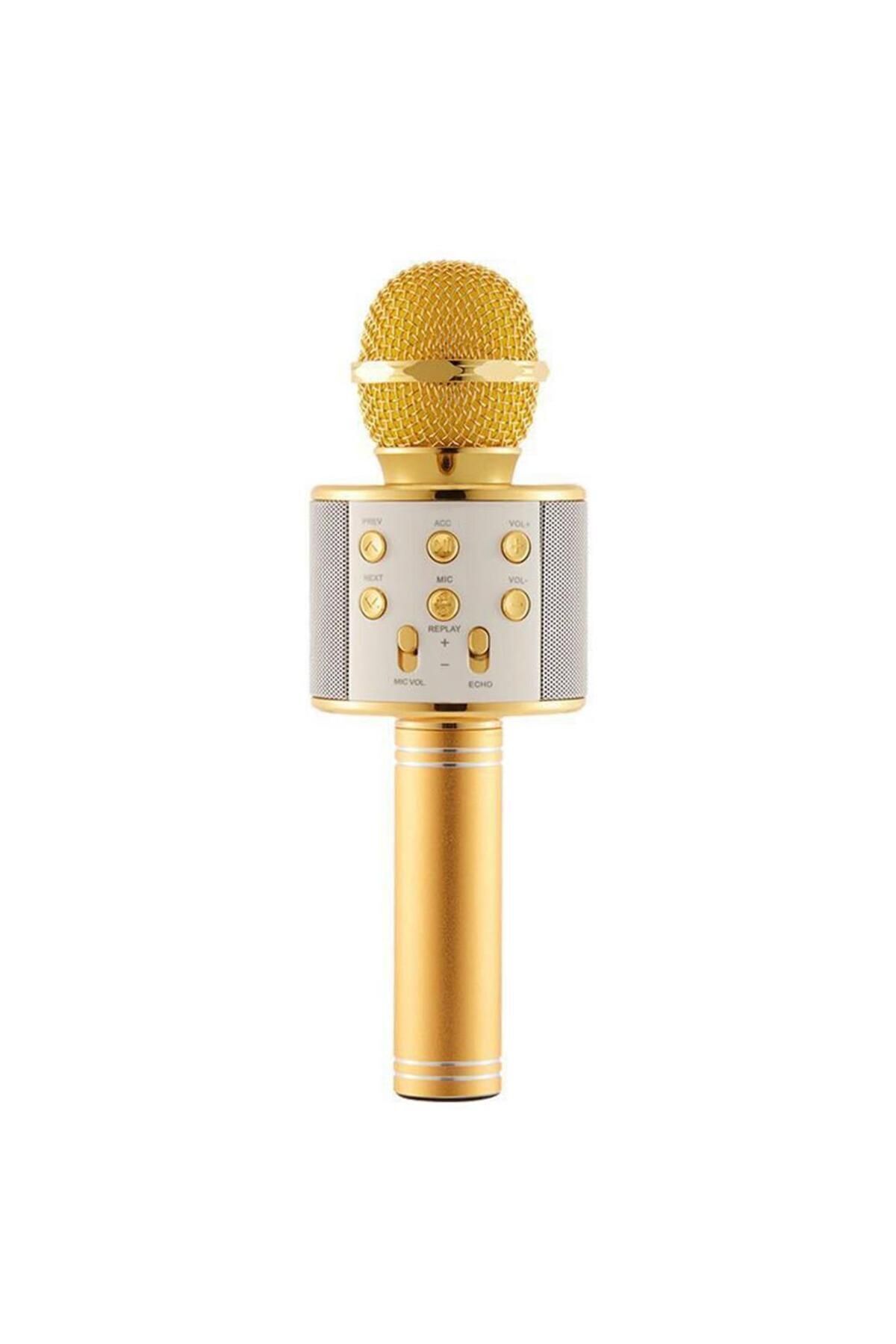 Subzero Ws-858 Karaoke Mikrofon Aux Usb Ve Sd Kart Girişli Bluetooth Hoparlör Gold