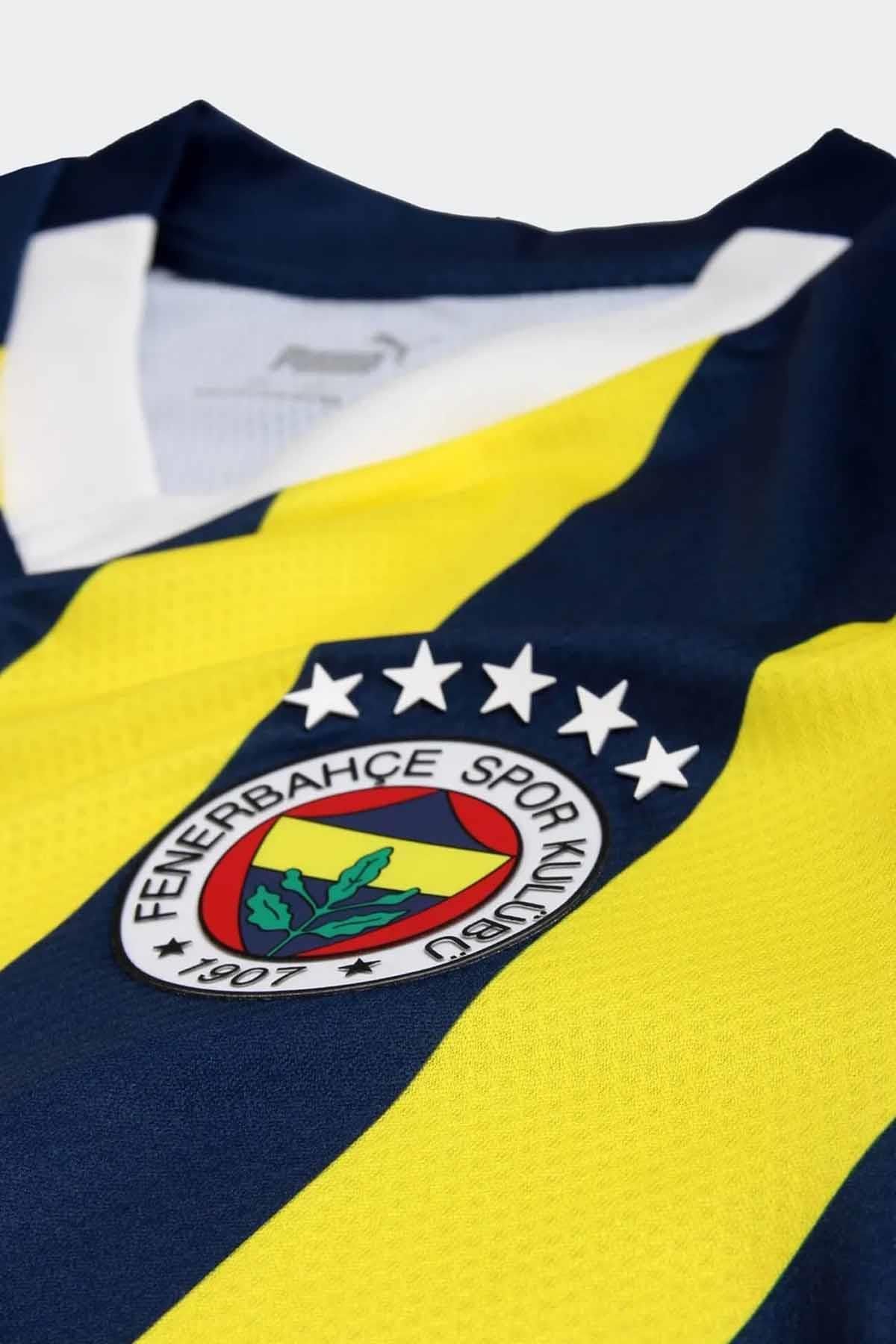 Fenerbahçe 2023/2024 5 5 Yıldız Çubuklu Forma Erkek Forma 772000-01-1sarı