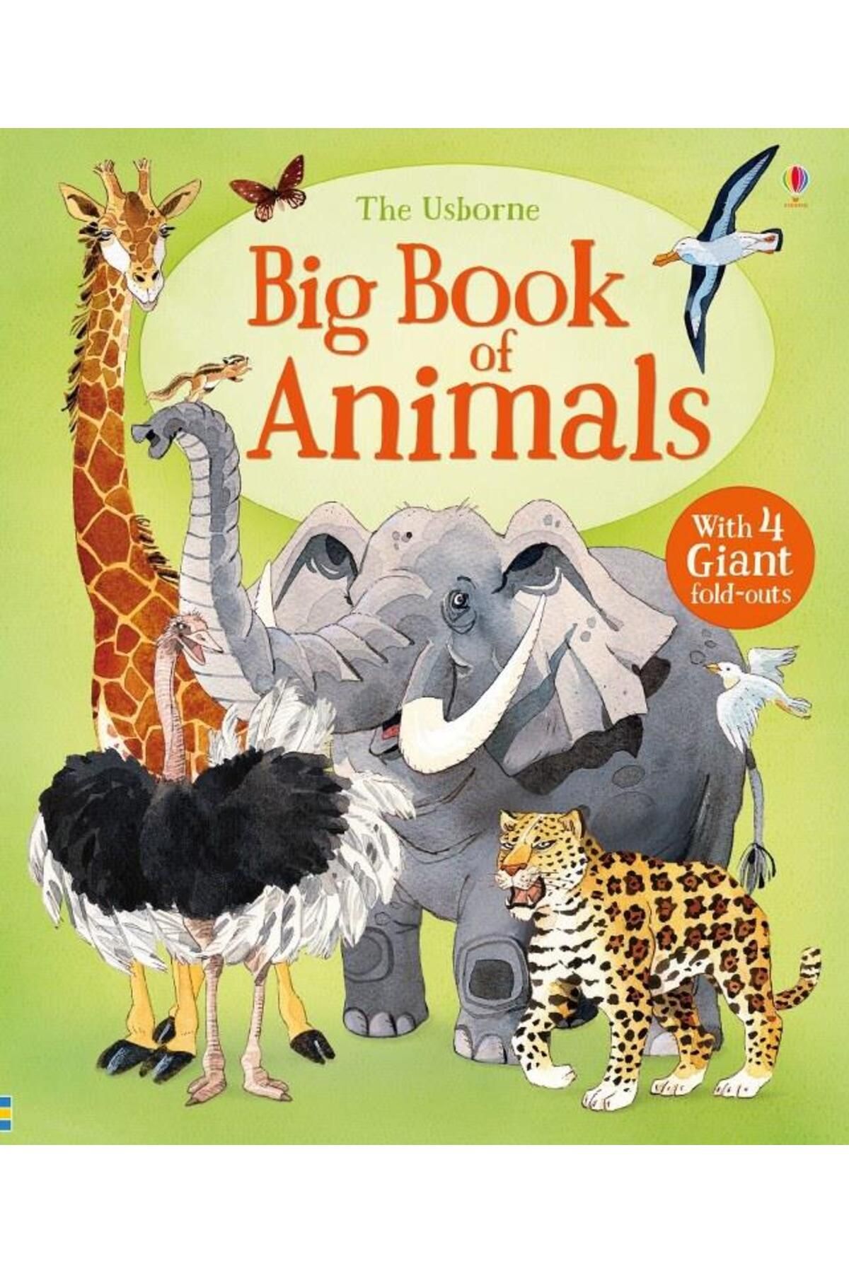 Usborne Big Book Of Animals