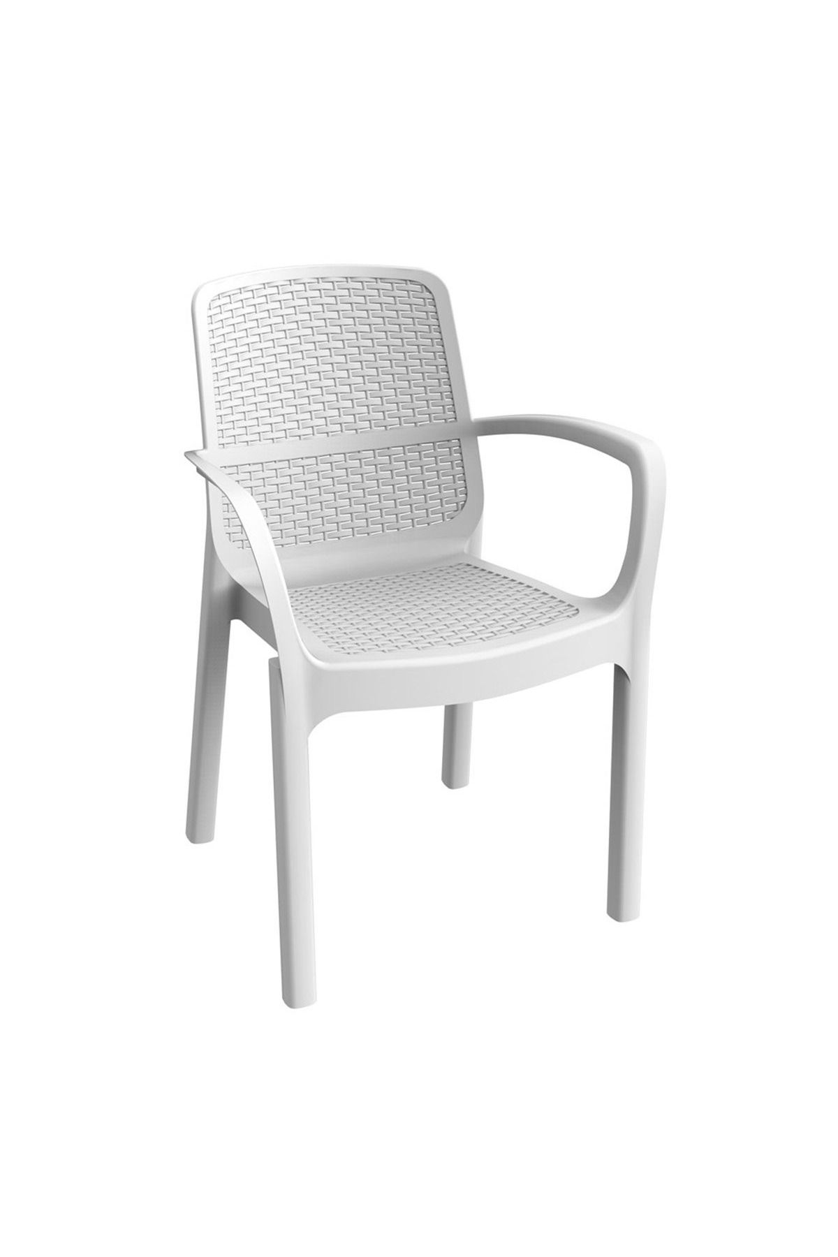 Greenmall Rattan Görünümlü Sandalye Beyaz