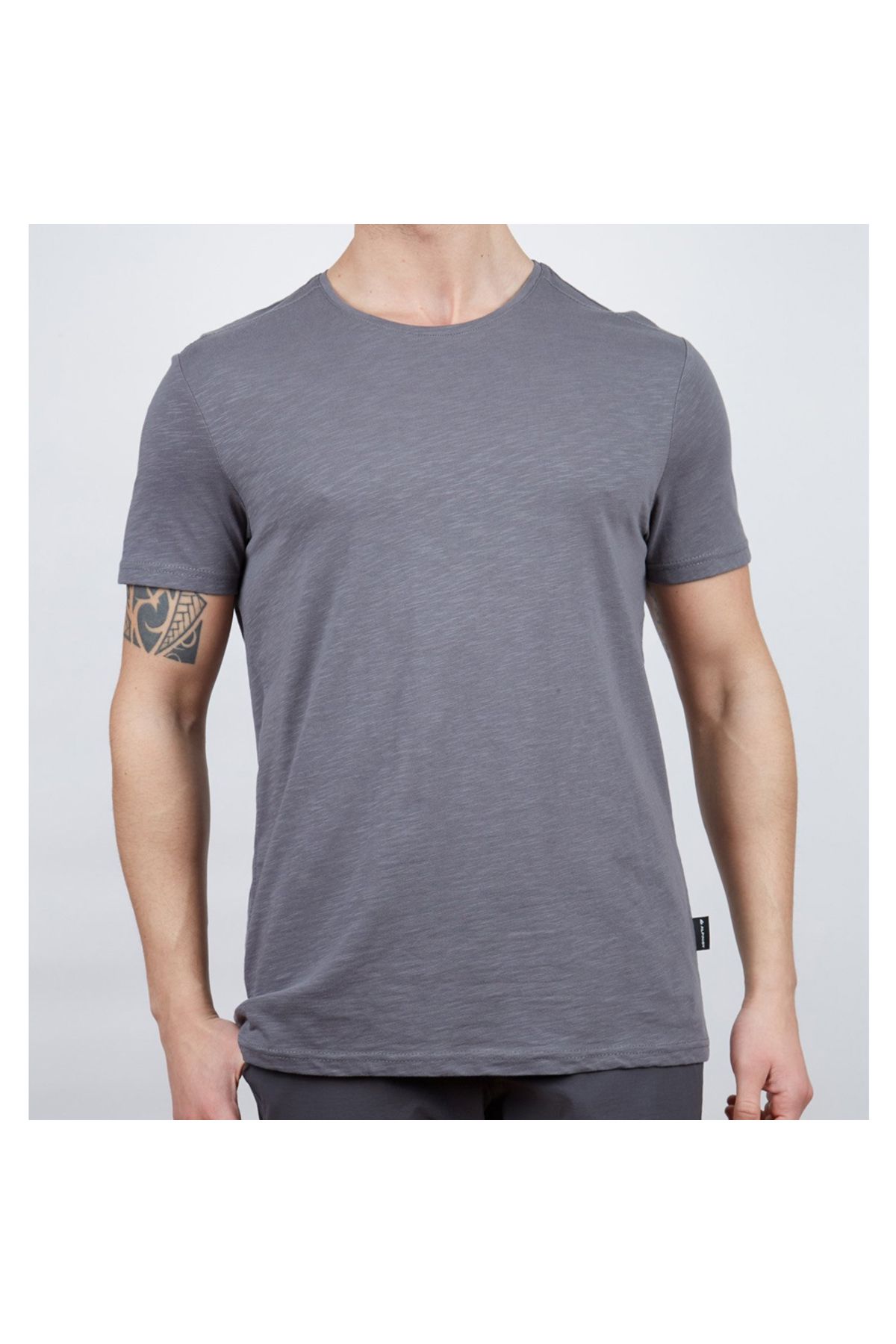 Alpinist Basic Erkek Pamuklu T-shirt Antrasit (600400)