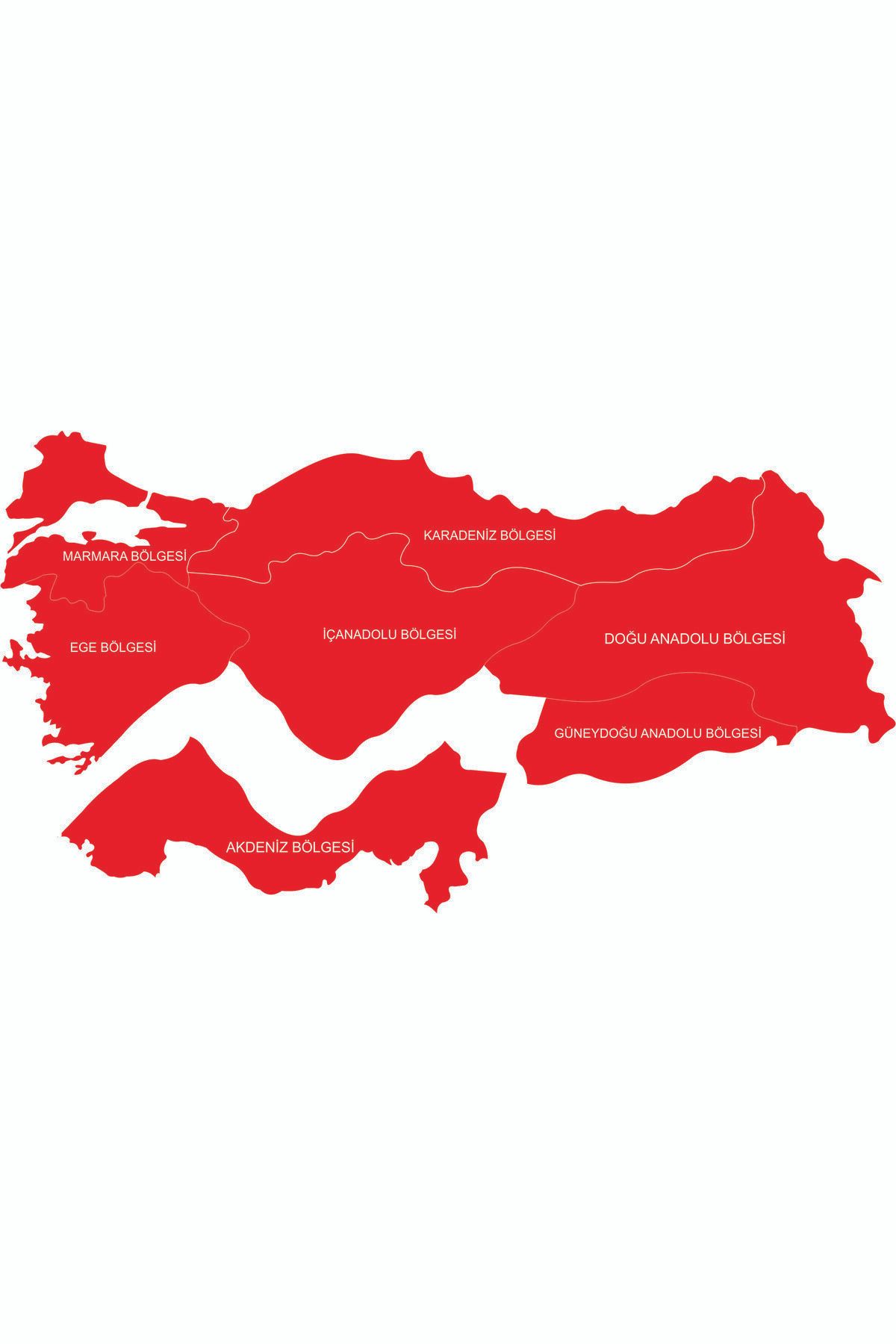 YSM (MIKNATISLI) Bölgeler Haritası Türkiye 100*50 (7 Parça ) Bölge
