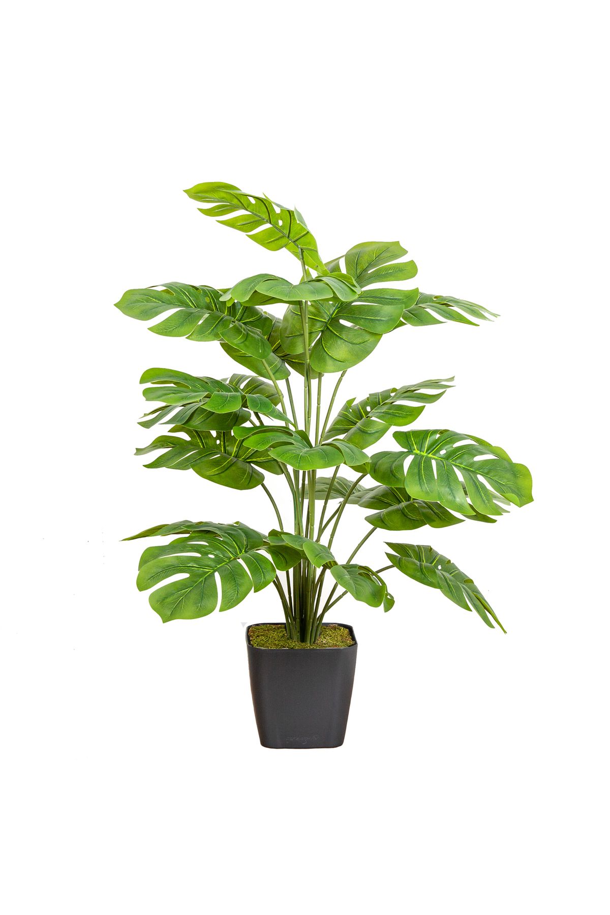 Herdekora Yapay Deve Tabanı Bitkisi (monstera Ağacı) 18 Yapraklı Yeşil 70 Cm.