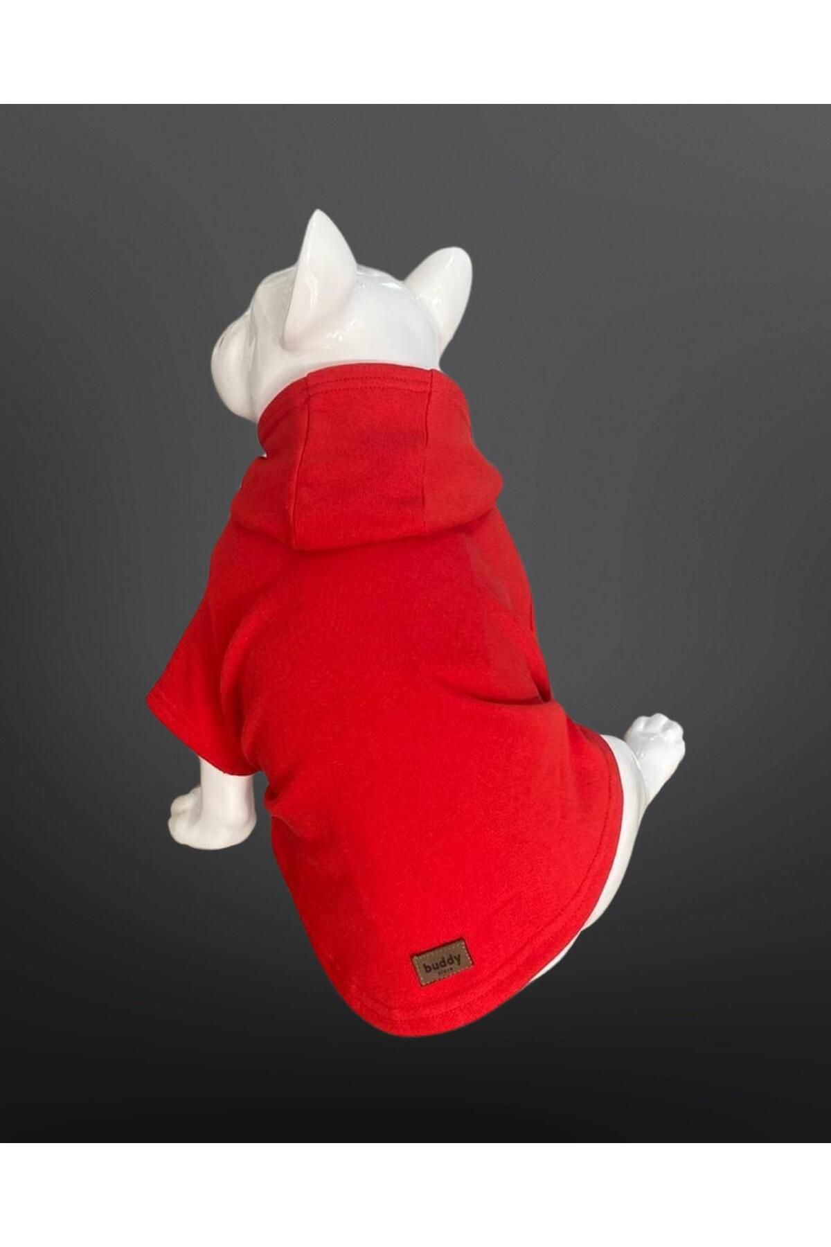 Buddy Store Kedi & Köpek Kıyafeti Sweatshirt - Baskısız Kırmızı Sweatshirt - L Beden