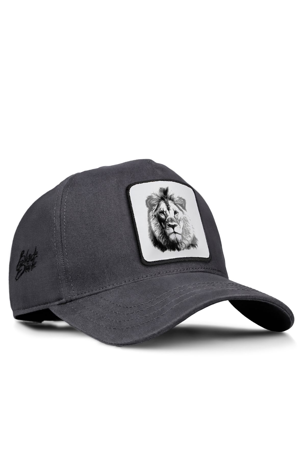 BlackBörk V1 Baseball Aslan - 4bs Kod Logolu Unisex Antrasit Şapka (CAP)