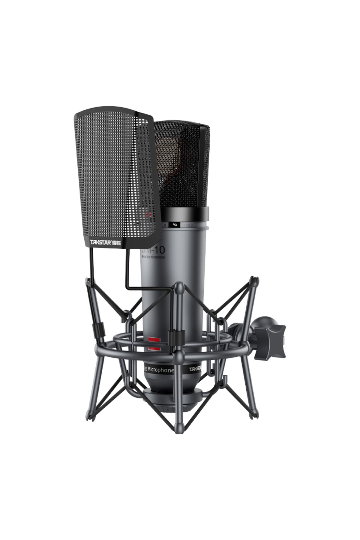 TakStar SM-10 Profesyonel Stüdyo Condenser Kayıt Mikrofonu
