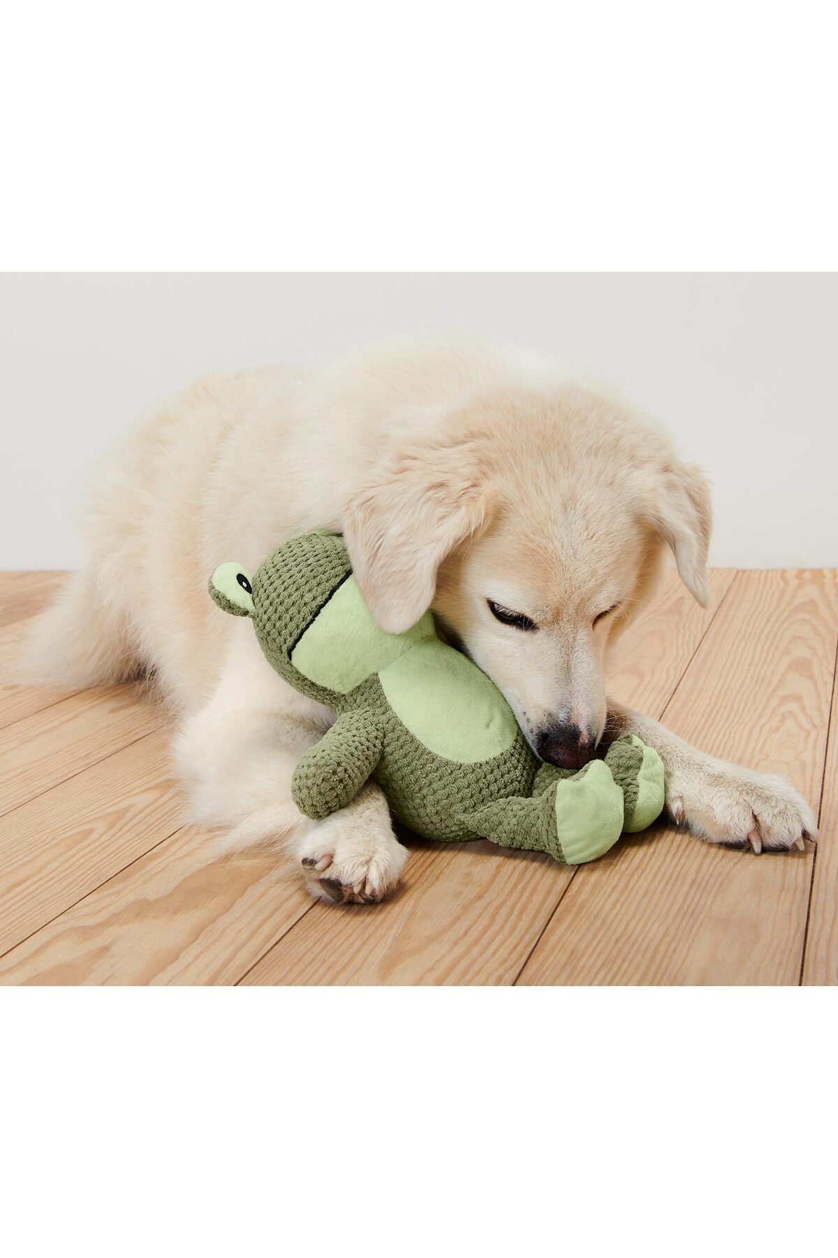 Tchibo Pelüş Köpek Oyuncağı »Kurbağa«