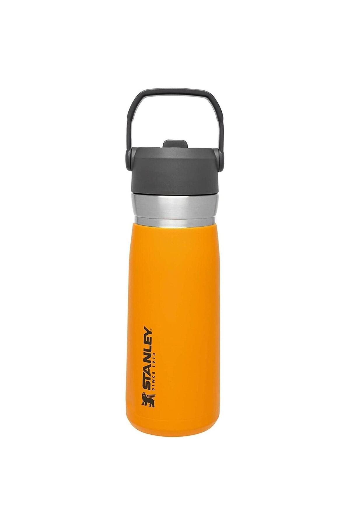 Stanley Stalney THE ICEFLOW™  FLİP STRAW WATER BOTTLE  .65L / 22OZ Termos Bardak AS1009697010 Safran