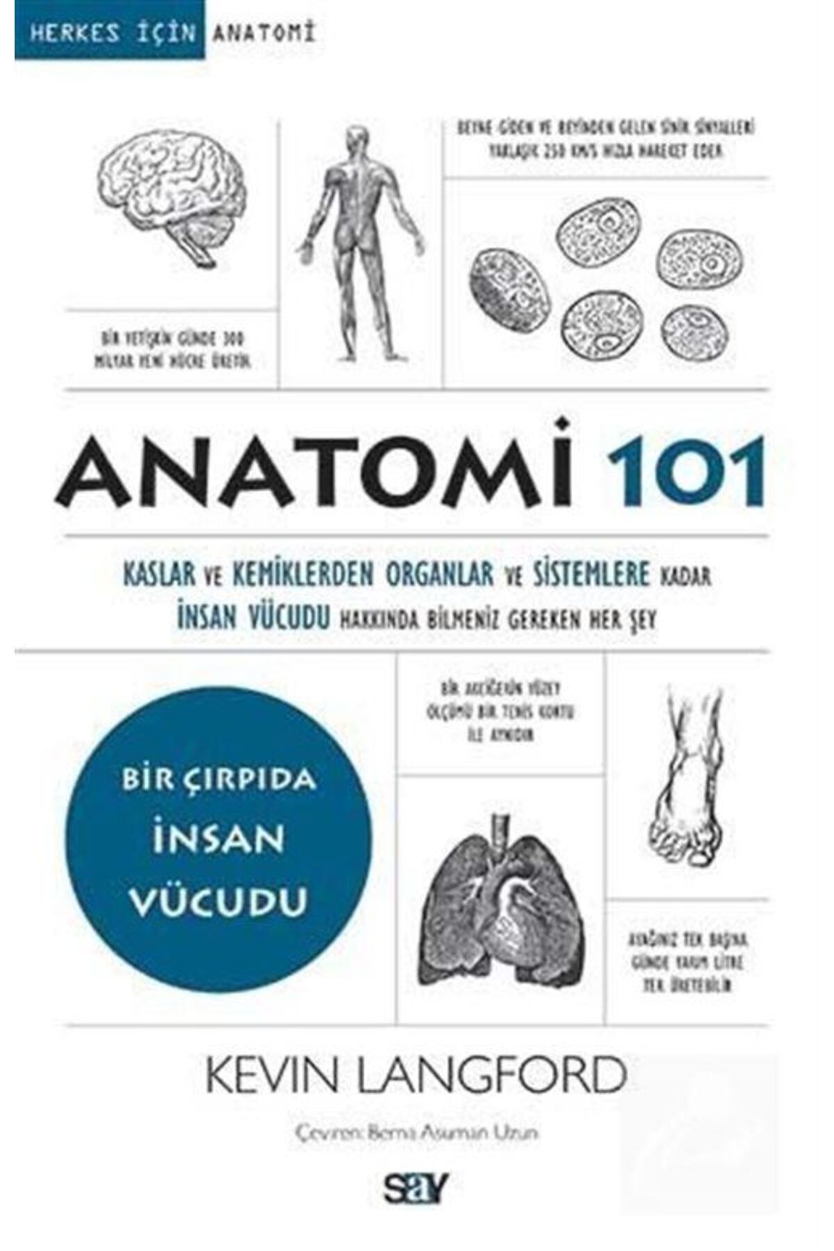 Say Yayınları Anatomi 101