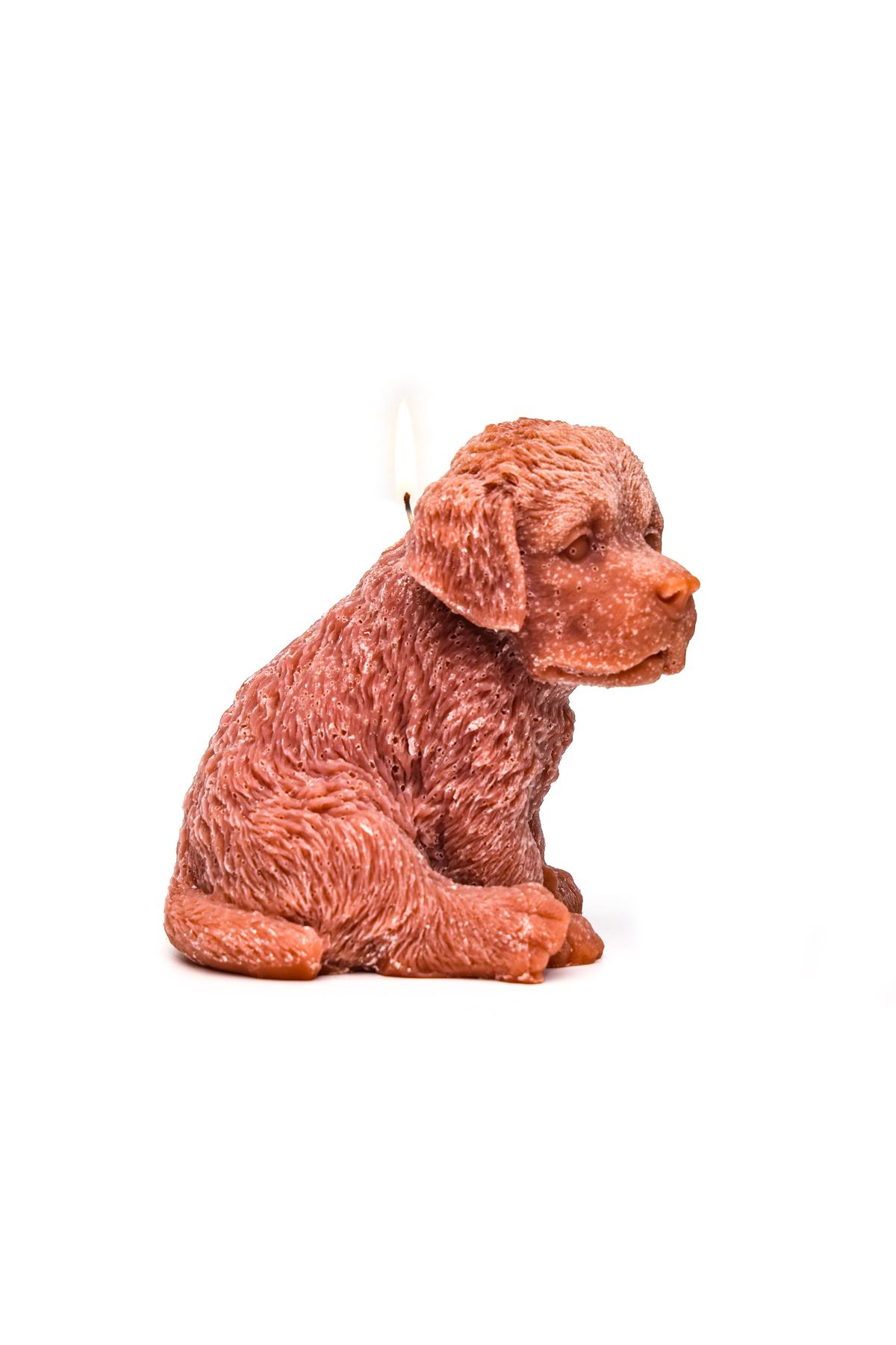 Missi Büyük Dekoratif Kahverengi Köpek Mum