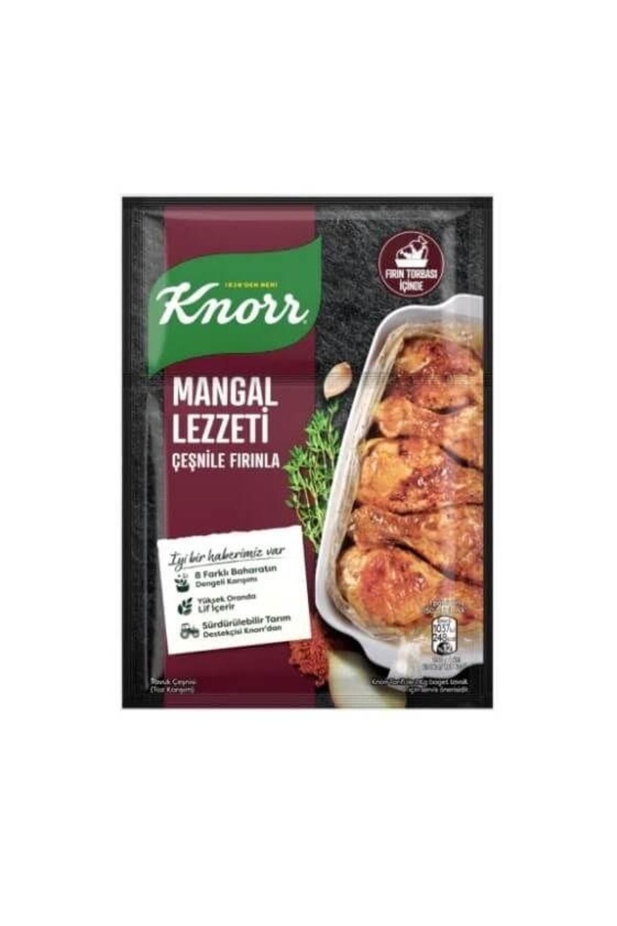 Knorr Mangal Lezzeti Tavuk Çeşnisi 32 Gr. (4'lü)