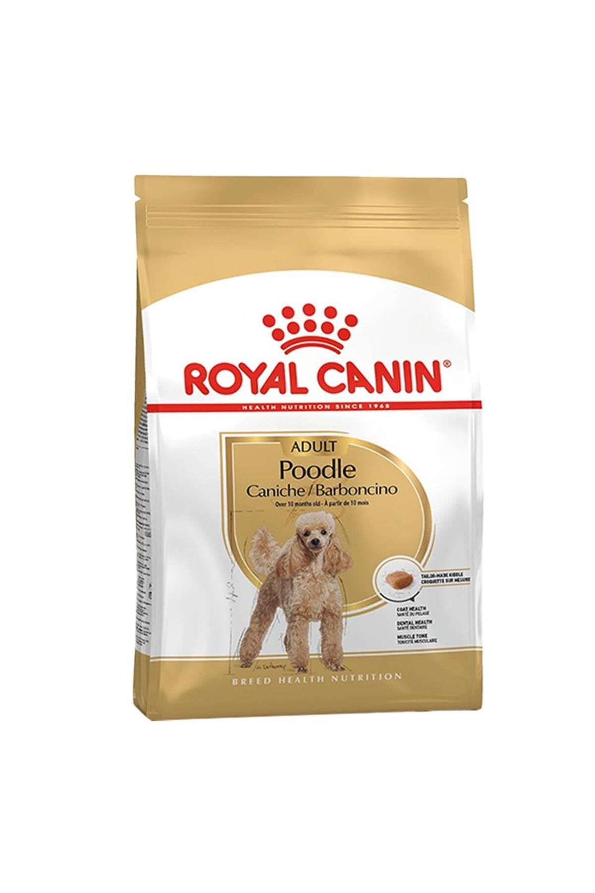 Royal Canin ® Poodle Yetişkin Köpek Maması 3 Kg
