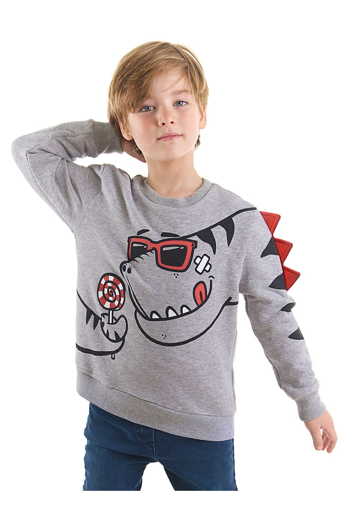 Denokids Şekerci Dinozor Erkek Çocuk Gri Sweatshirt