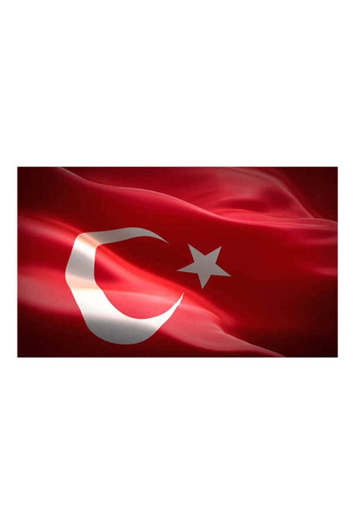 Buket Türk Bayrağı 30 X 45 Cm Btk-102