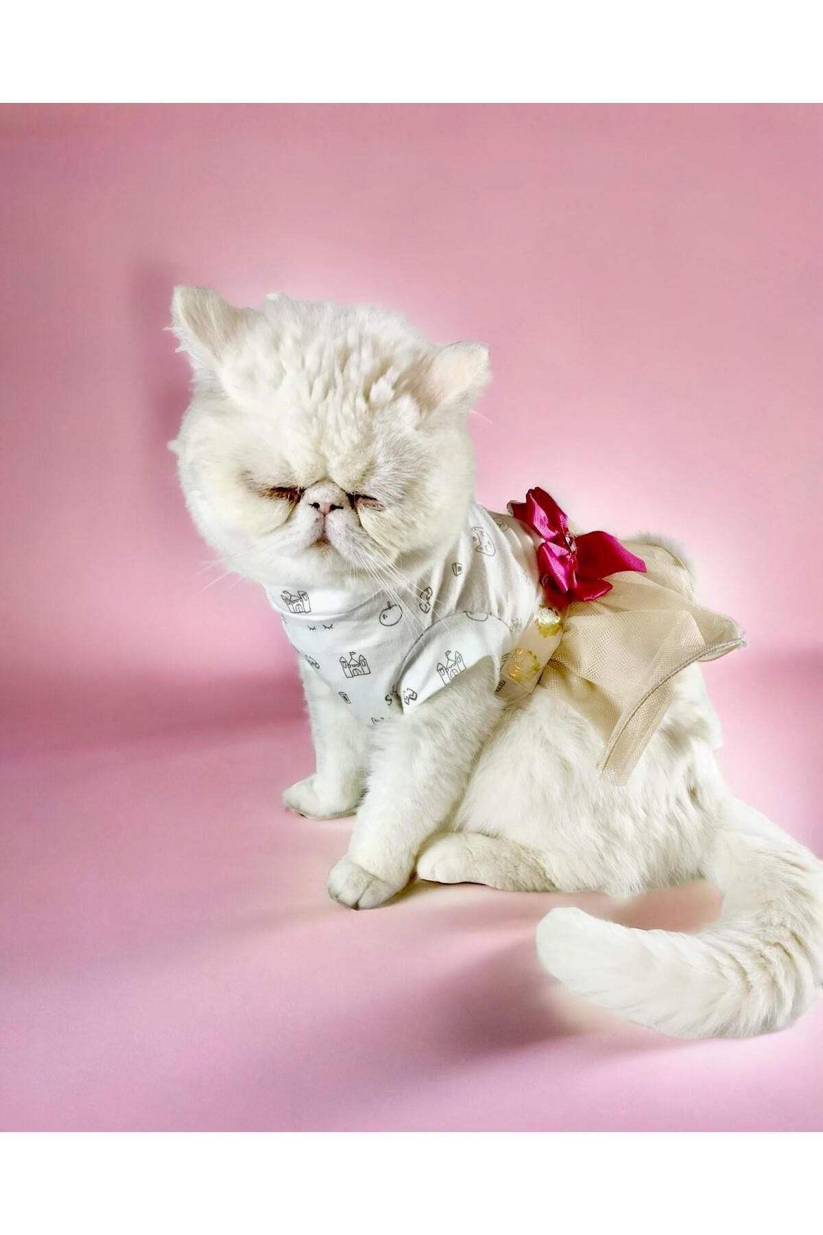 Kemique Creamy Fuschia Tütülü Kedi Elbisesi, Kıyafeti Tutu
