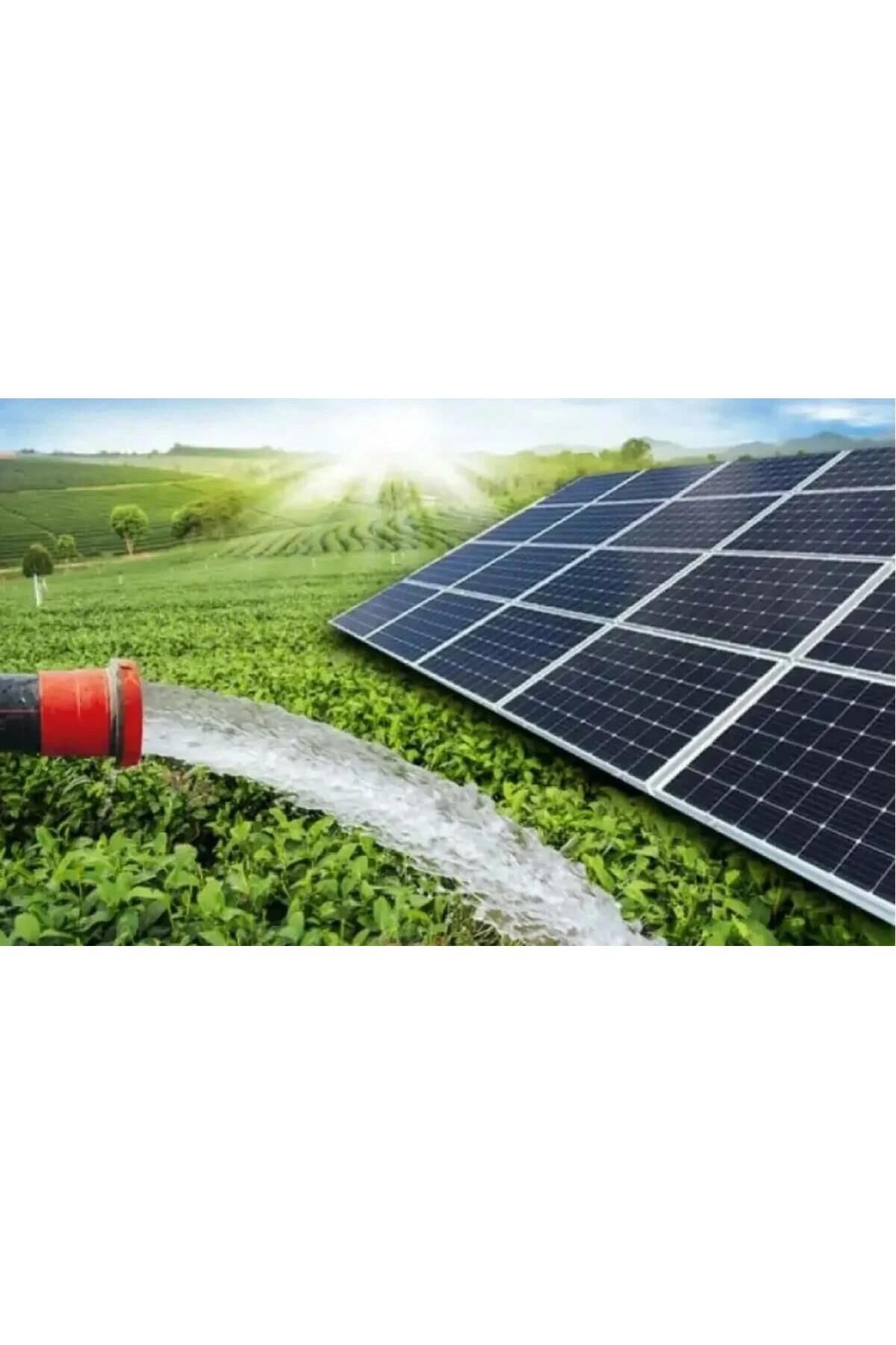 Lexron 2hp 1.5kw Dalgıç Pompa Solar Tarımsal Sulama Paketi