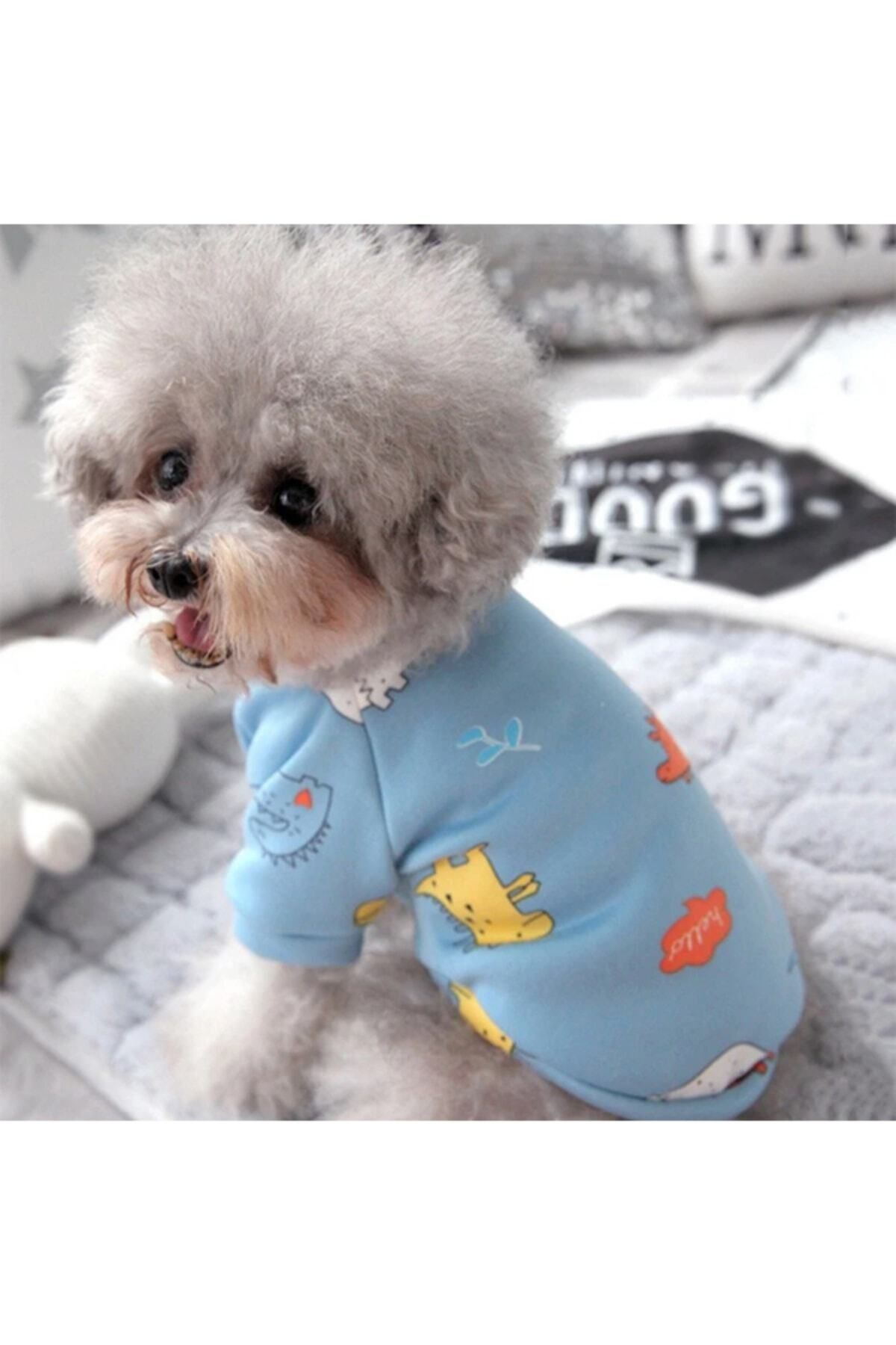 Dolce Pets Kedi Köpek Kıyafeti/ Sky Blue T-shirt/mavi Tişört