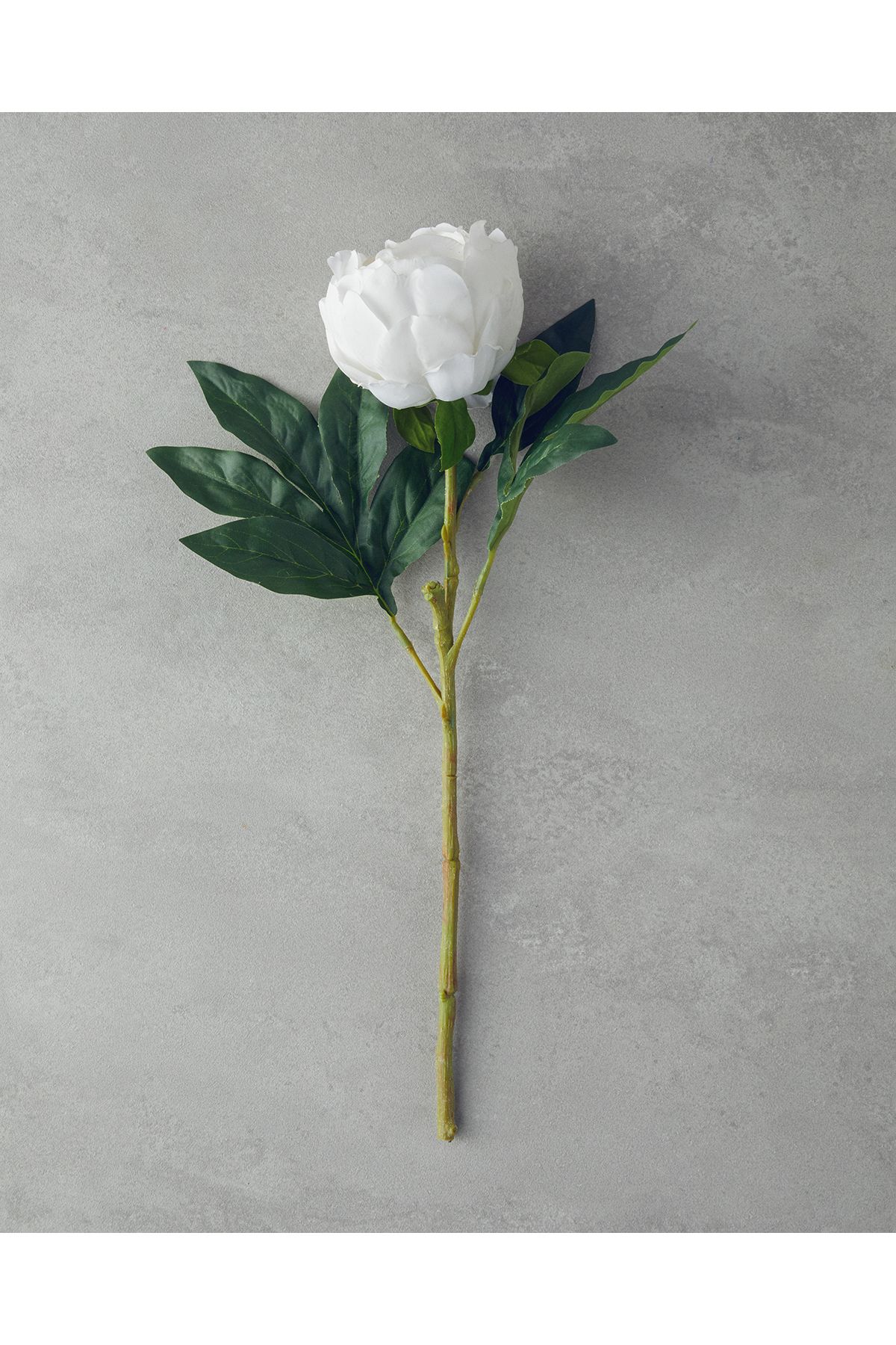 English Home Peony Tek Dal Yapay Çiçek Beyaz