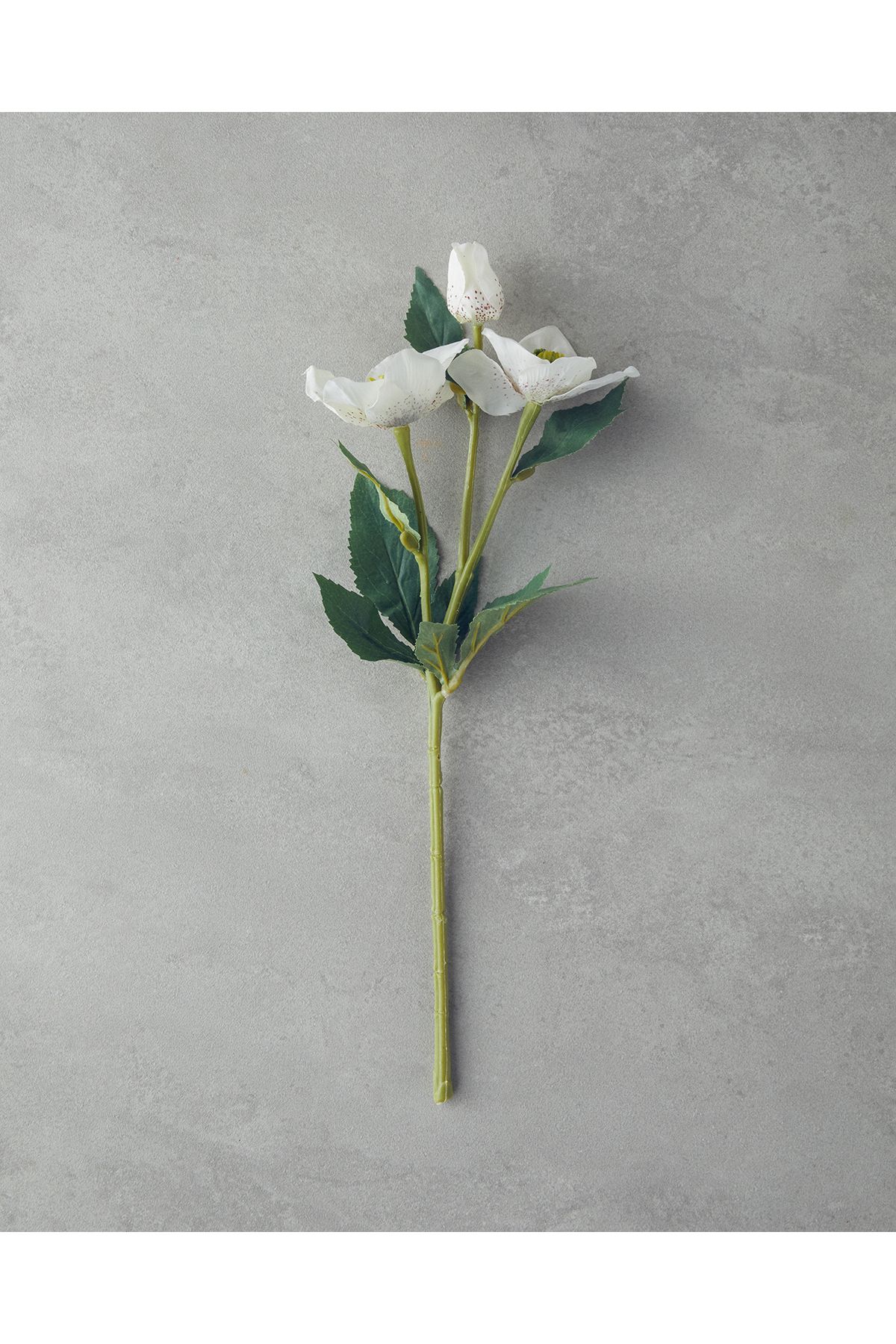 English Home Helleborus Tek Dal Yapay Çiçek Beyaz