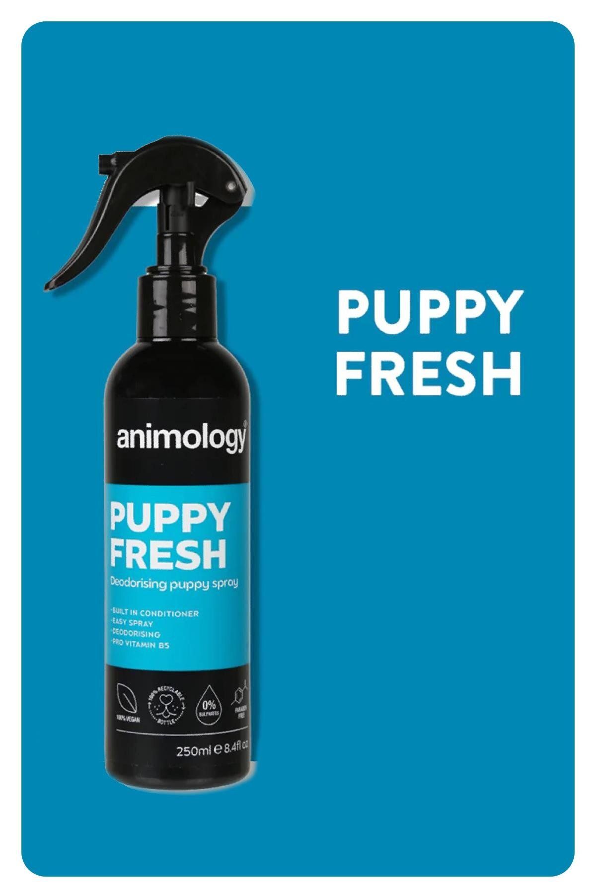 Animology Puppy Fresh Spray Kötü Koku Giderici Yavru Köpek Bakım Spreyi 250 ML