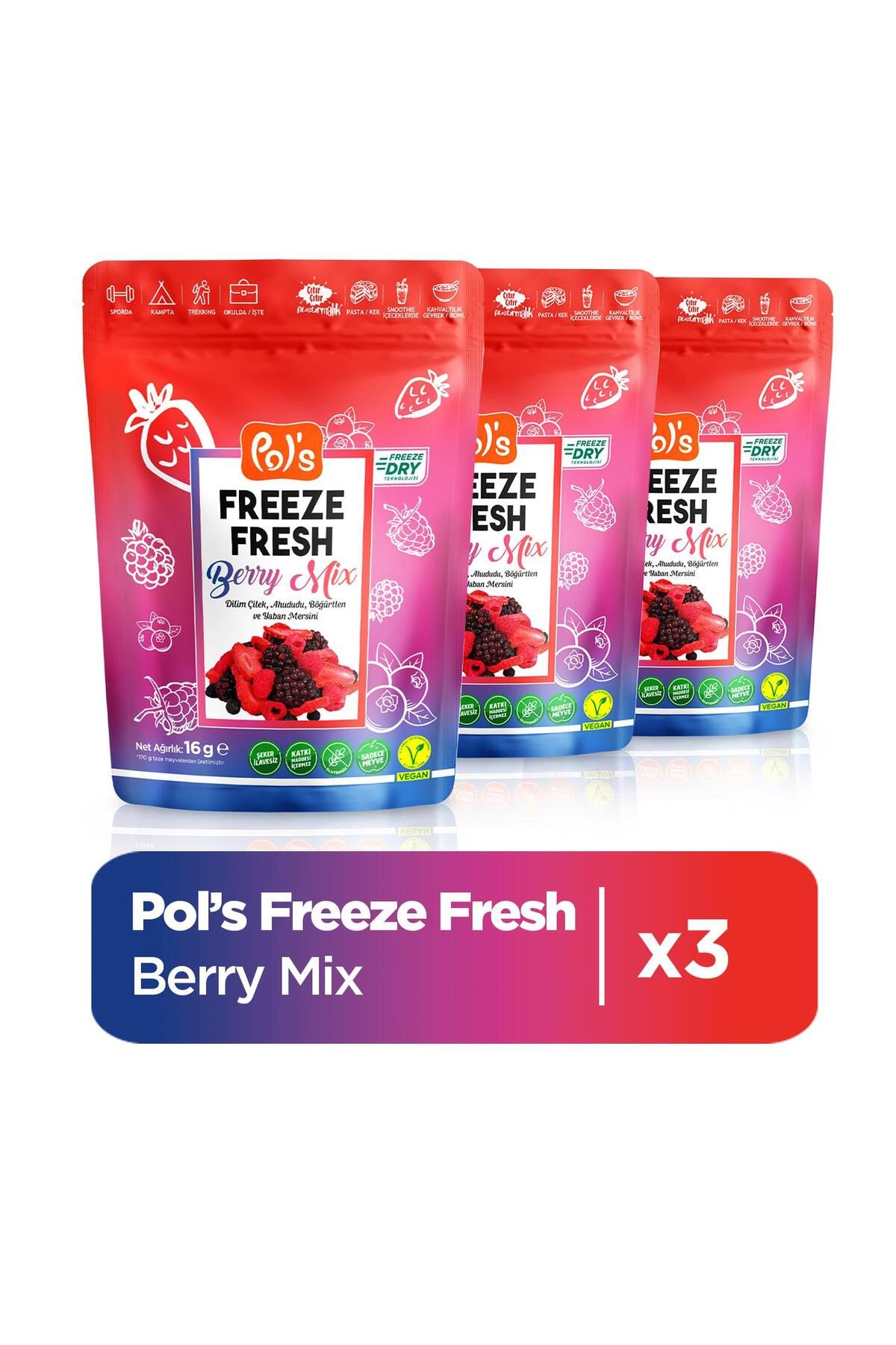 Pol's Freeze Fresh Berry Mix 16 g x 3 adet