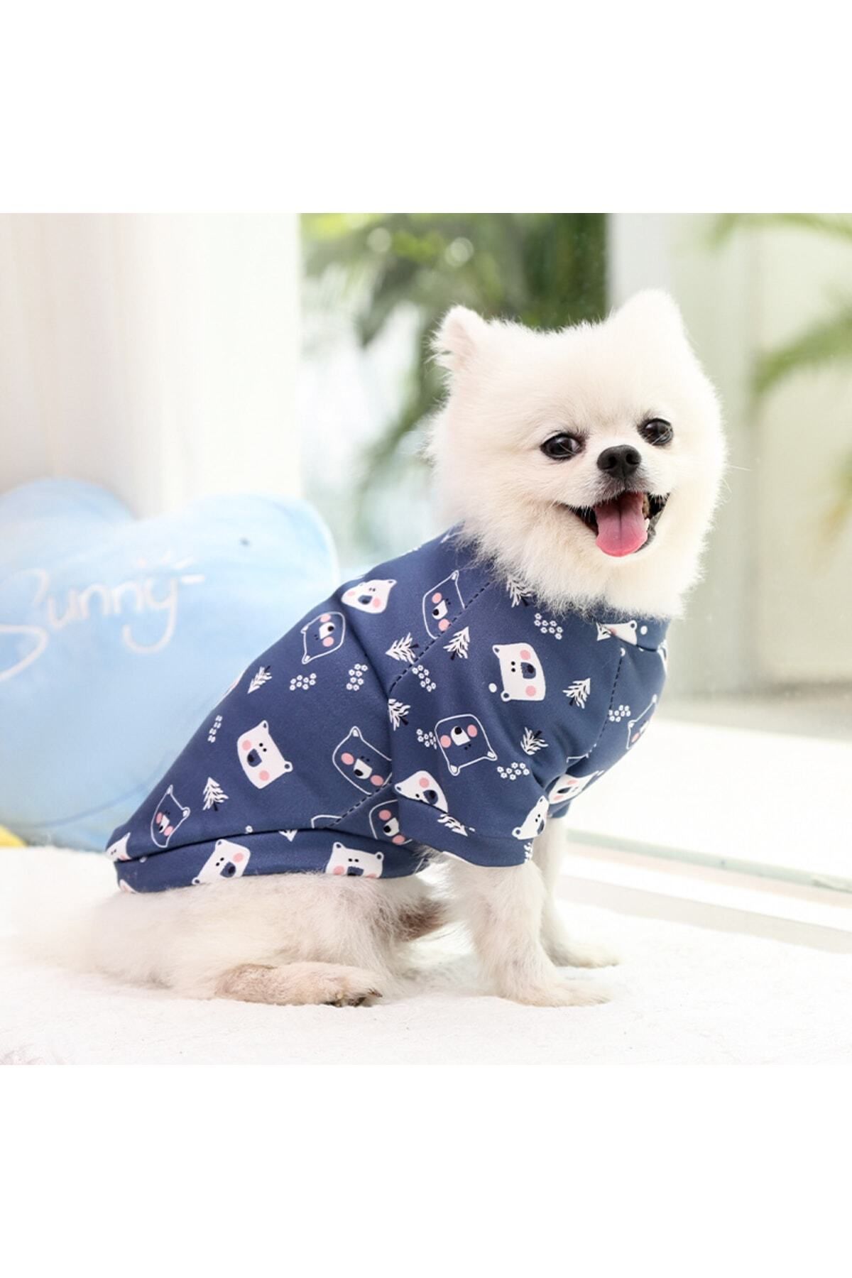 Dolce Pets Kedi Köpek Kıyafeti/ Bear T-shirt/ayıcıklı Tişört