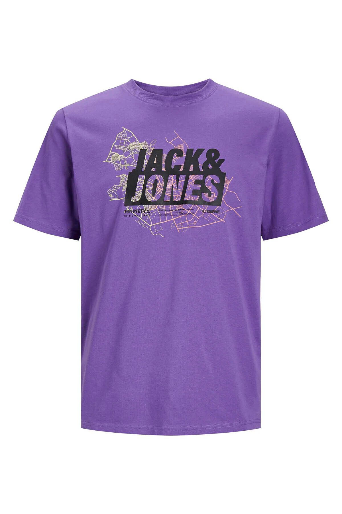 Jack & Jones Erkek T-shirt Mor 12252376