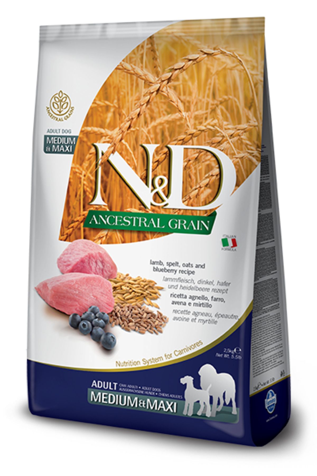 N & D Ancestral Grain Medium Maxi Yaban Mersinli Kuzulu Düşük Tahıllı Yetişkin Köpek Maması 12 Kg