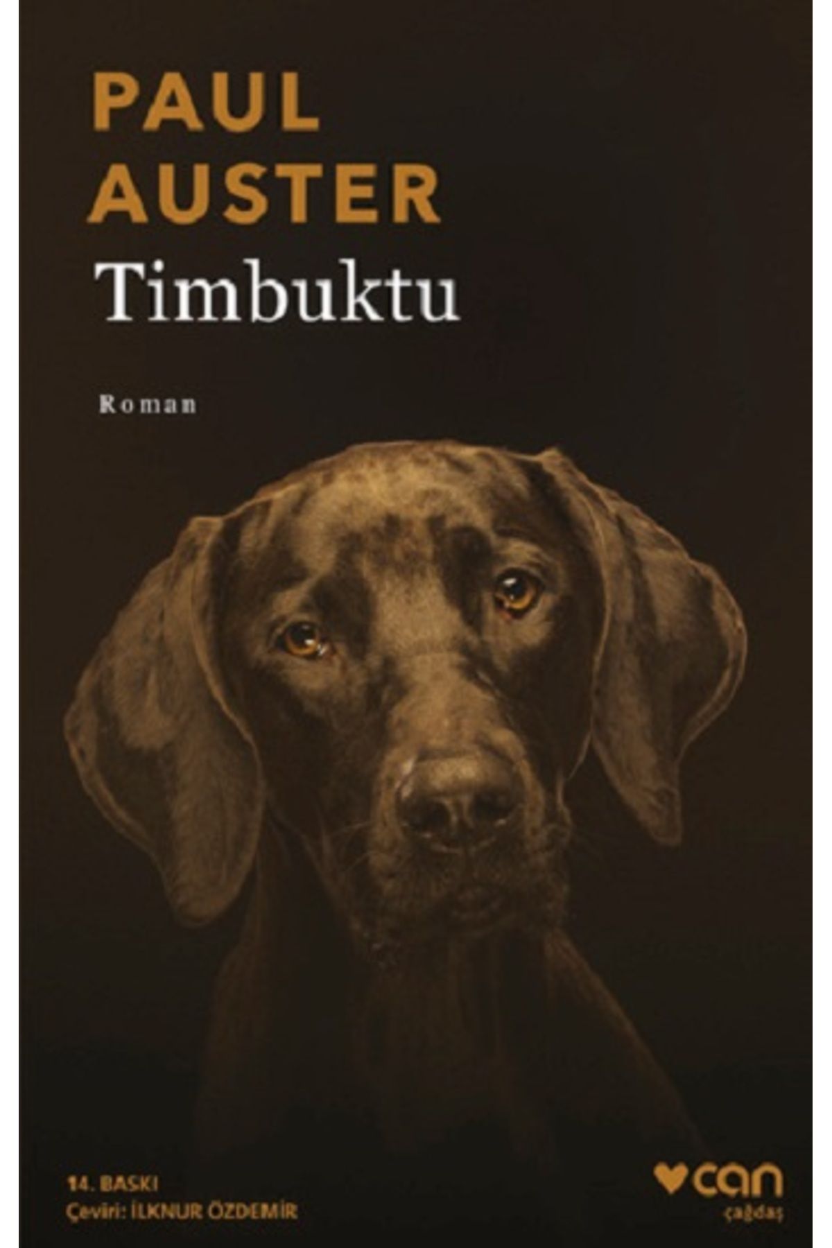 Can Yayınları Timbuktu