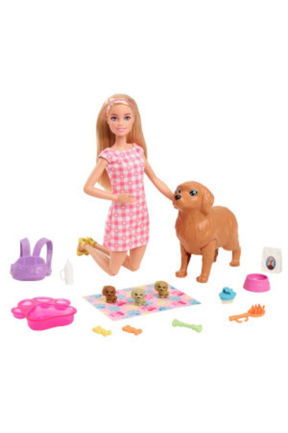 Barbie ( OYUNCAK ) Barbie ve Hayvan Dostları HCK75  (  1  ADET  )