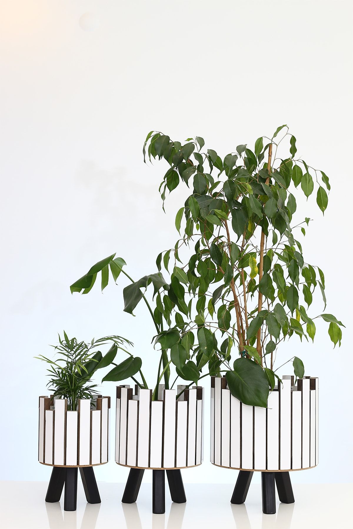 Hakan Mobilya Beyaz Ahşap Siyah Ayaklı 3'lü Kale Model Saksı Seti Dekoratif Çiçeklik Balkon Bahçe Ahşap Saksılık