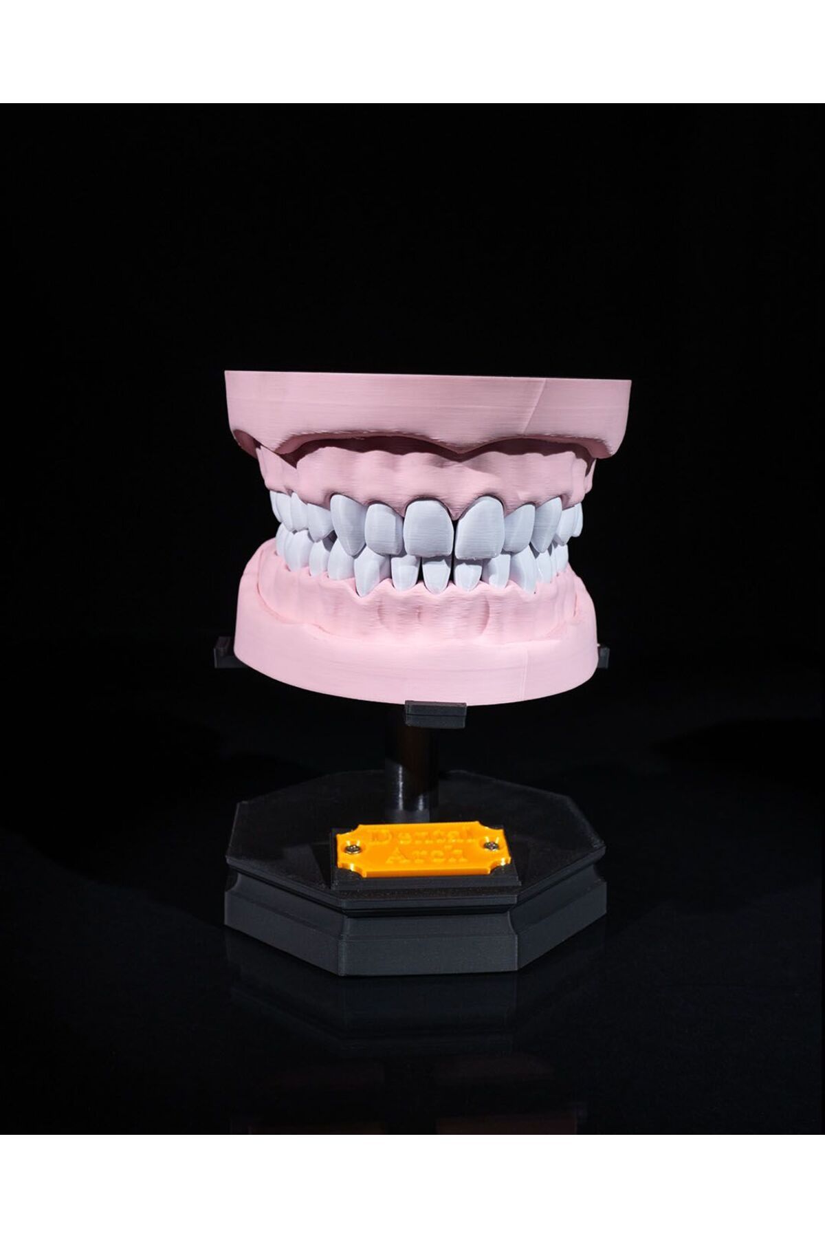 CESTOPİENO Üst ve Alt Diş Örneği -  Dişler Çıkarılabilir