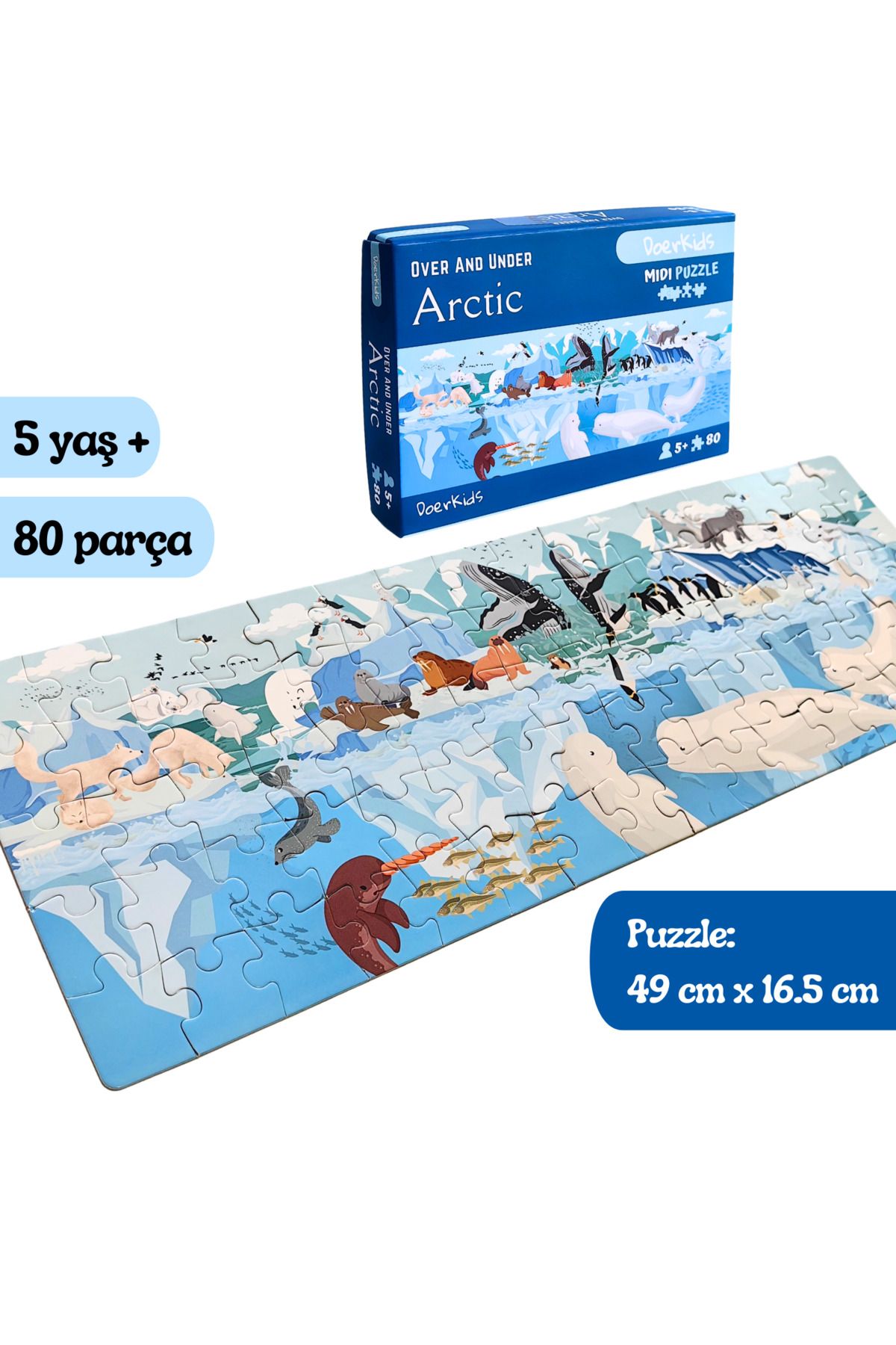 DoerKids Kuzey Kutbu Su Altı Su Üstü Midi Puzzle | 80 Parça 5+ Yaş